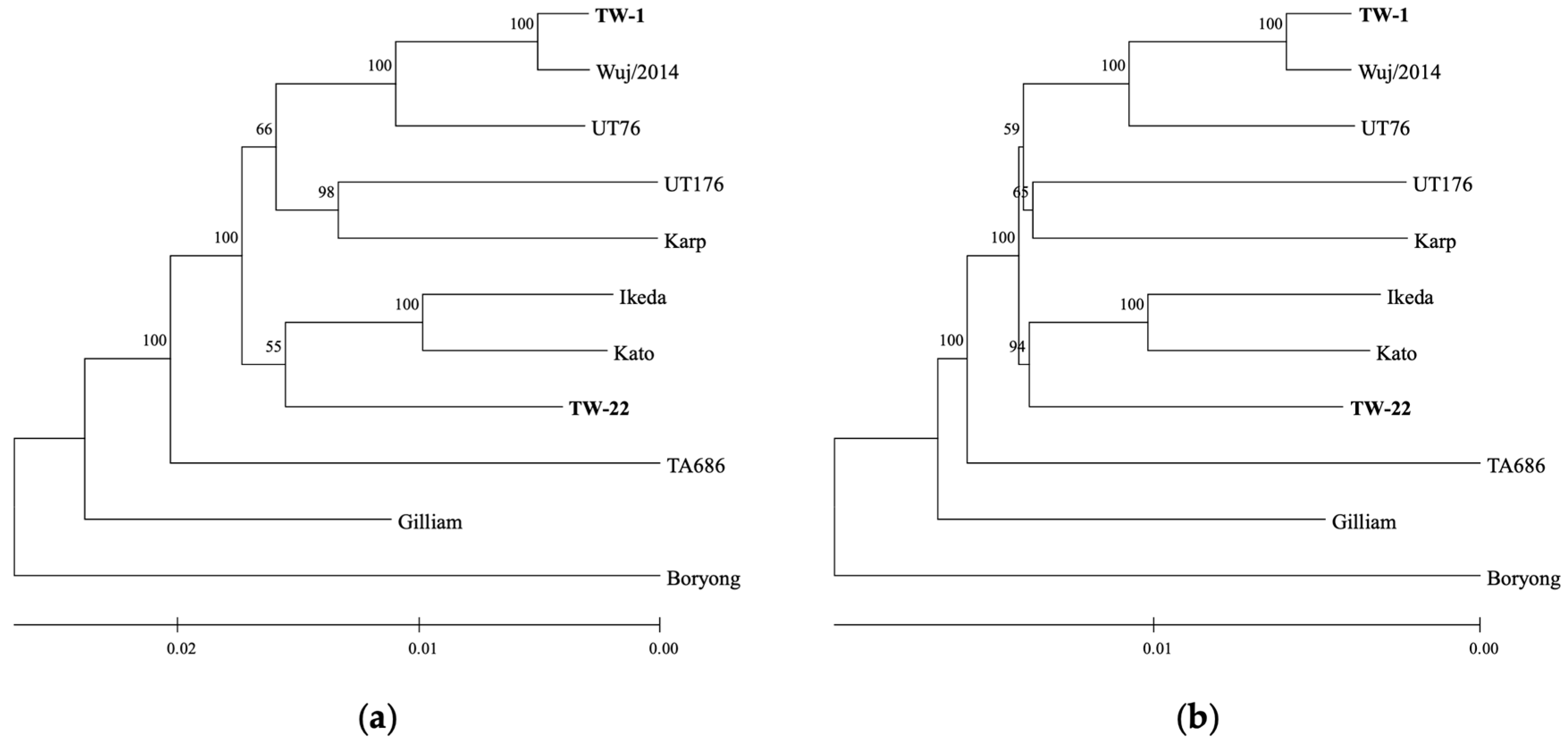 Pathogens 13 00299 g001