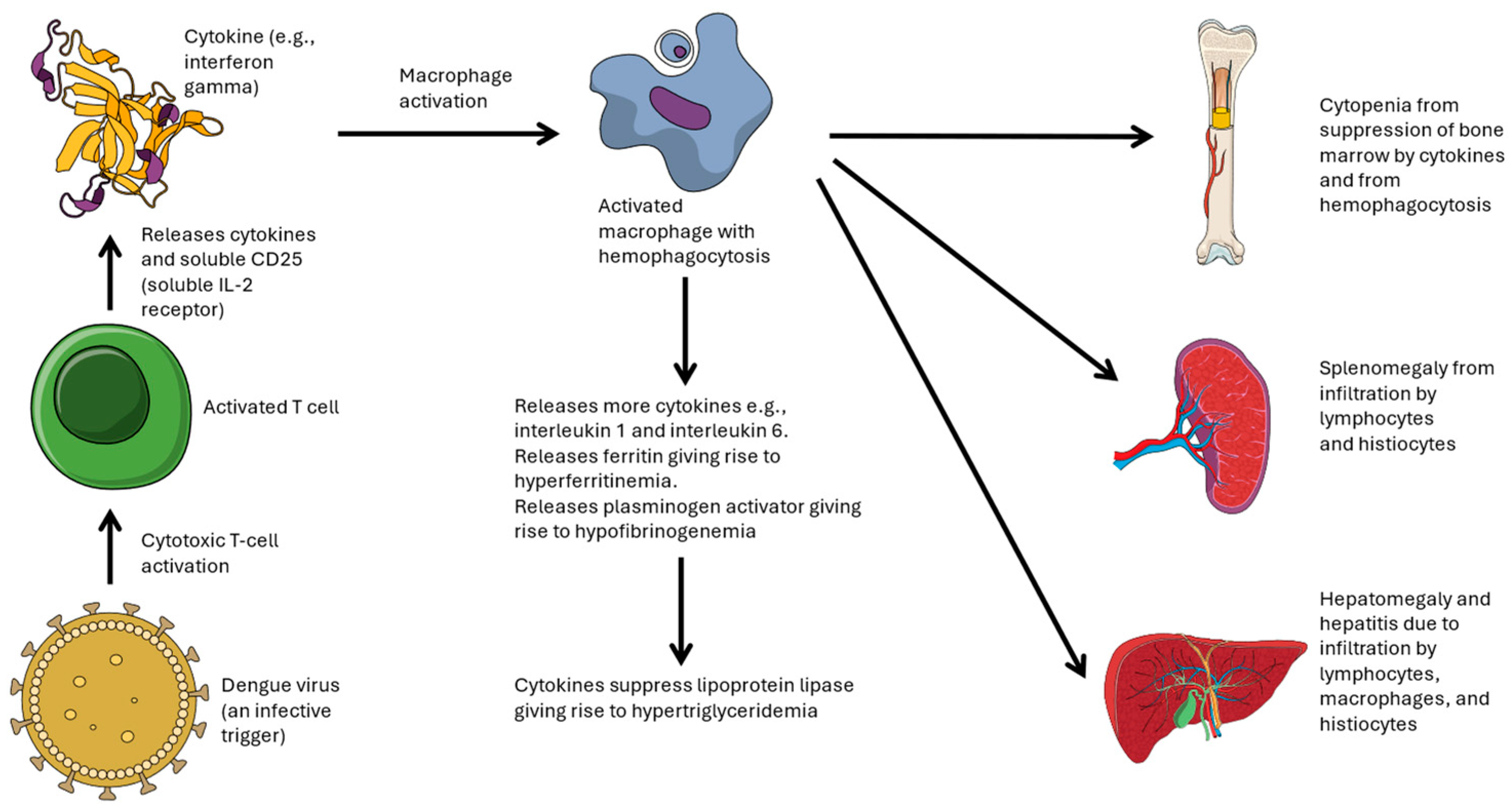 Pathogens 13 00332 g001 Pathogens 13 00332 g001