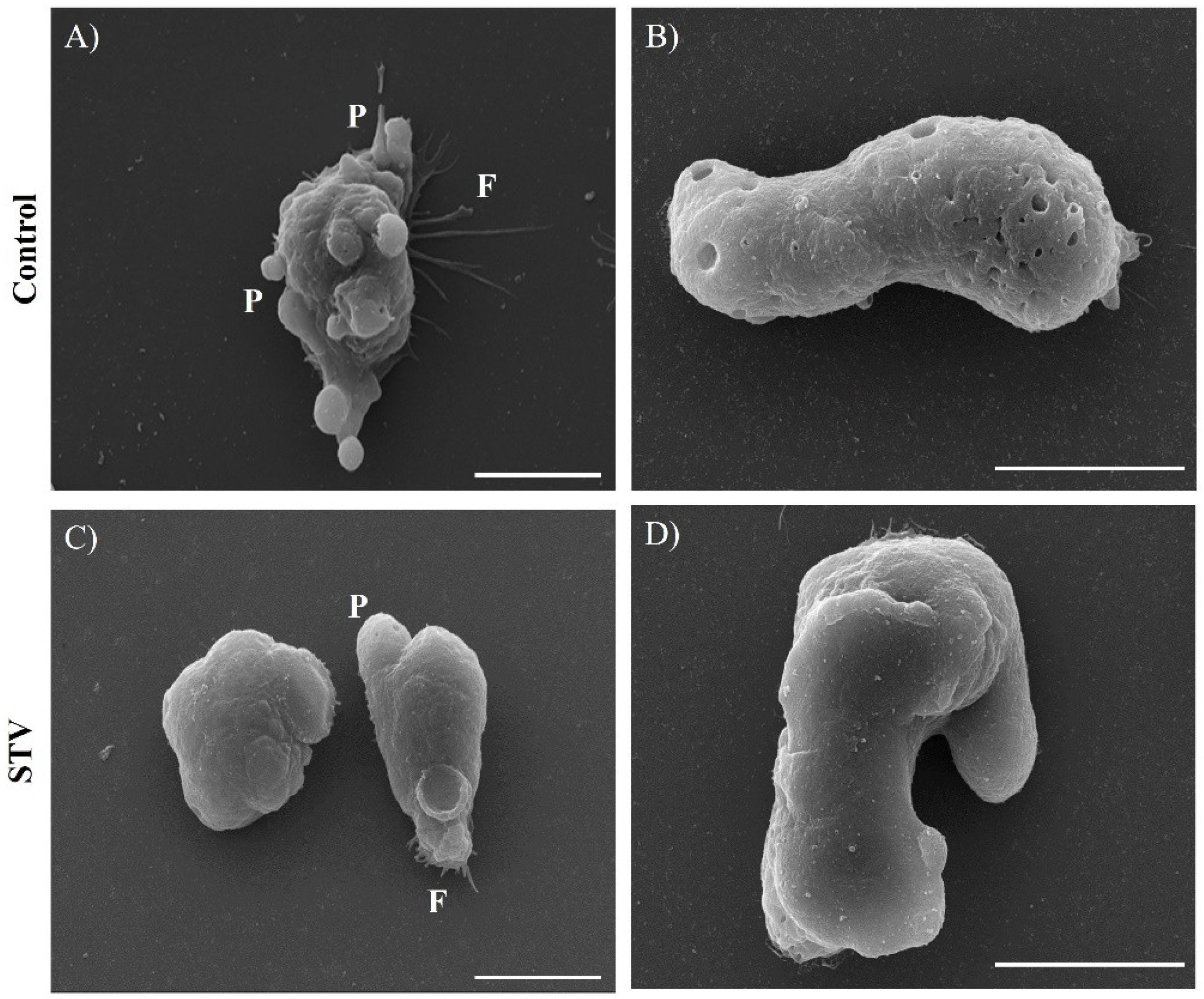 Pathogens 13 00373 g007