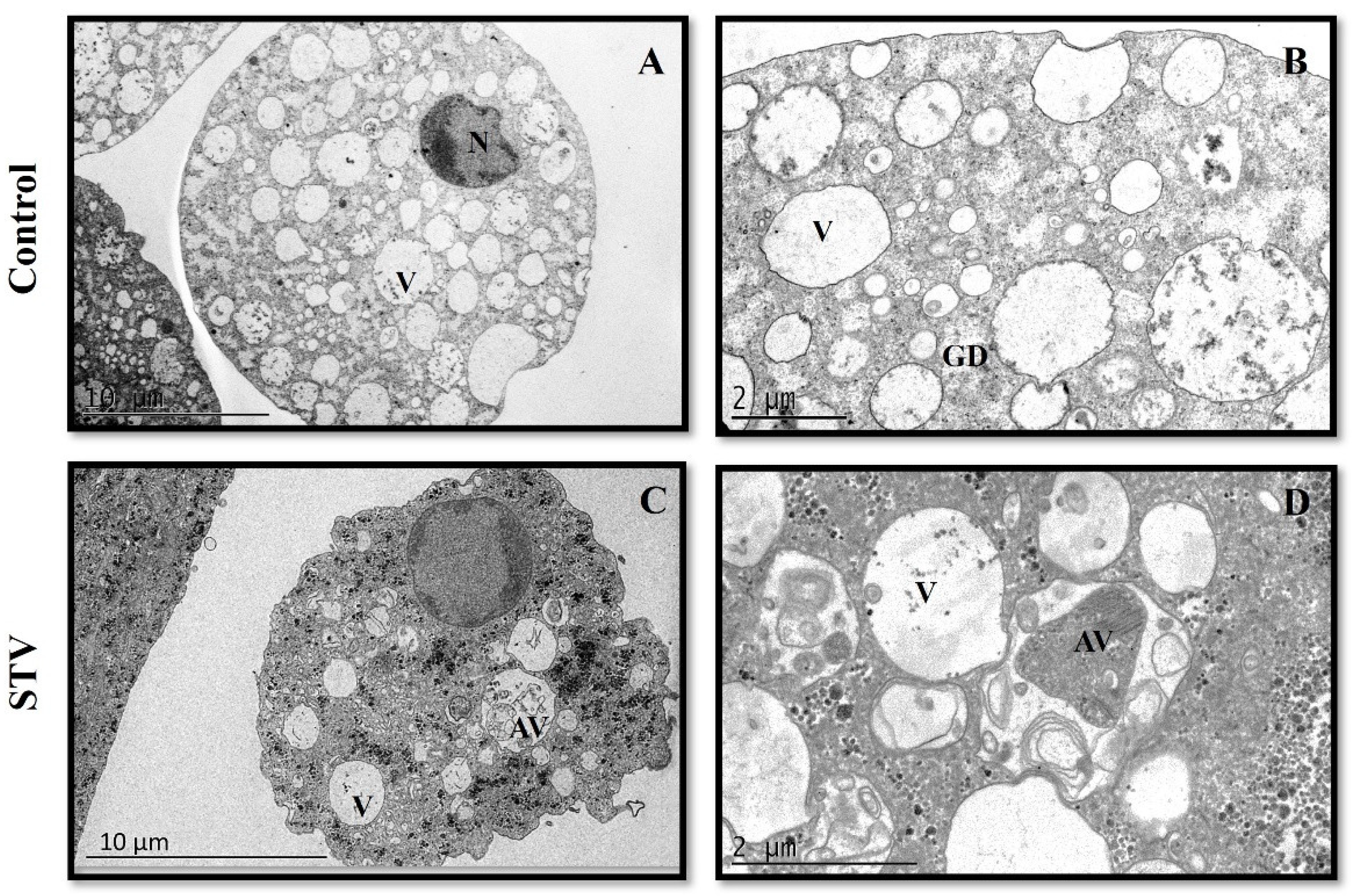 Pathogens 13 00373 g008
