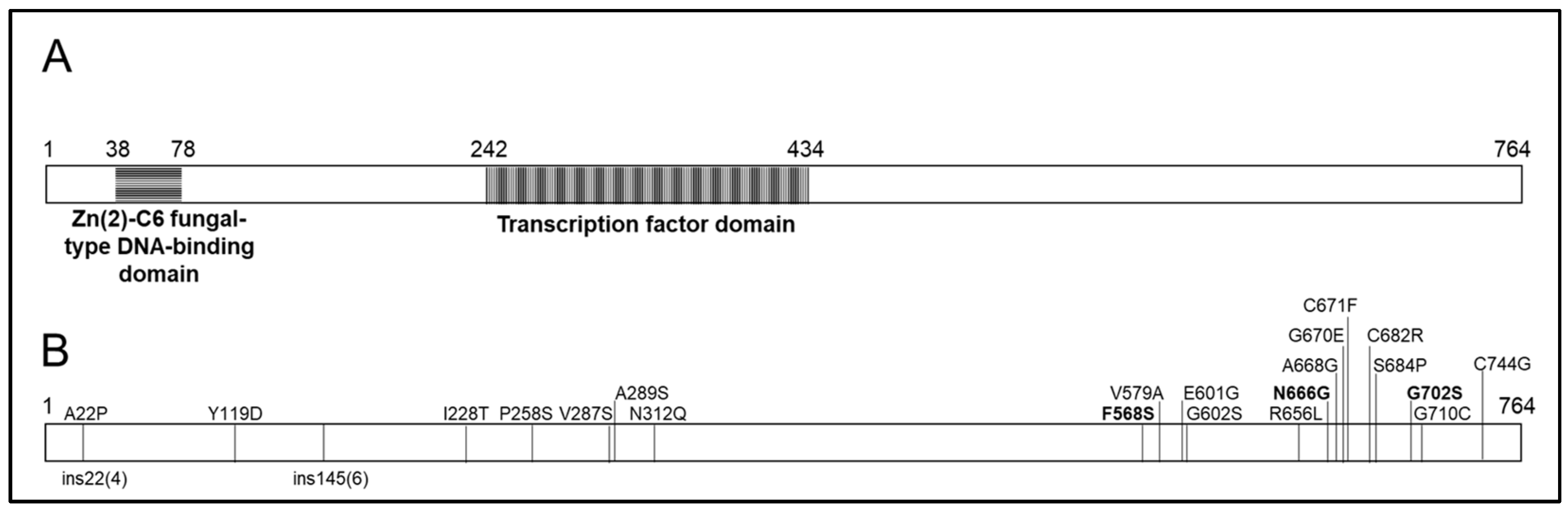 Pathogens 13 00374 g003 Pathogens 13 00374 g003