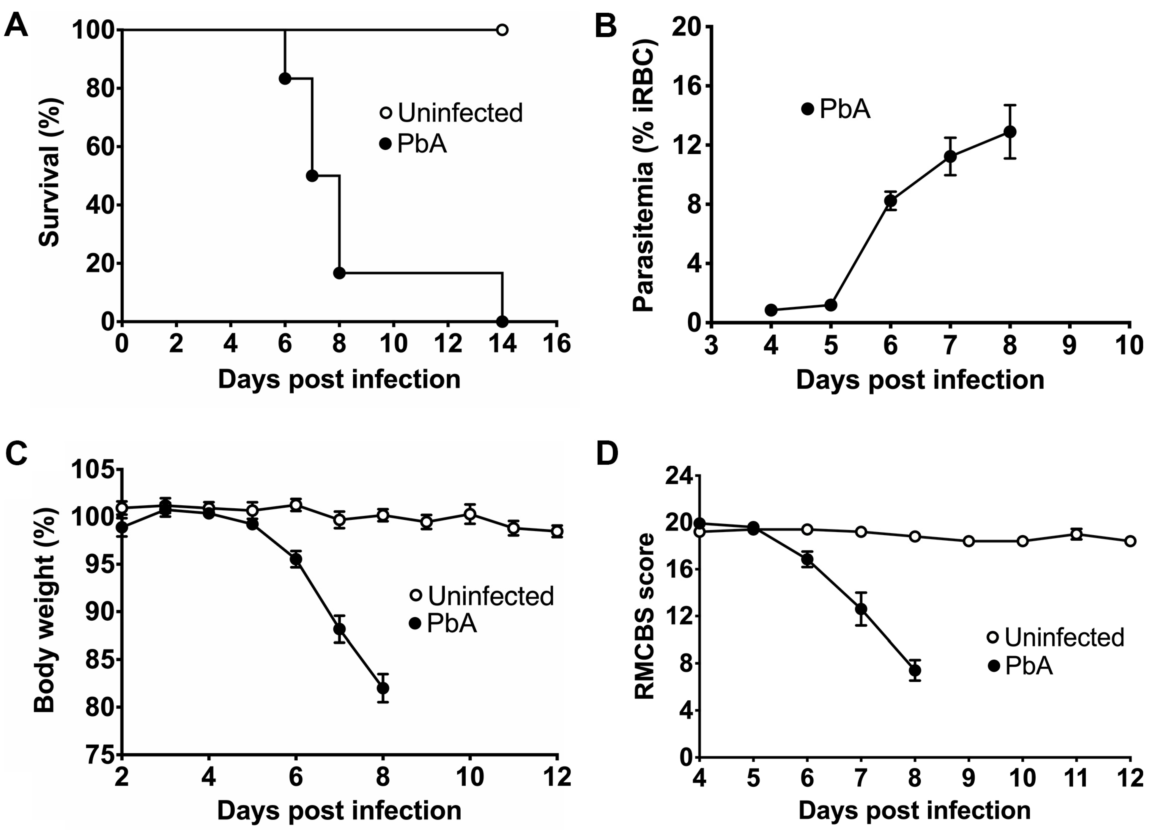 Pathogens 13 00376 g001