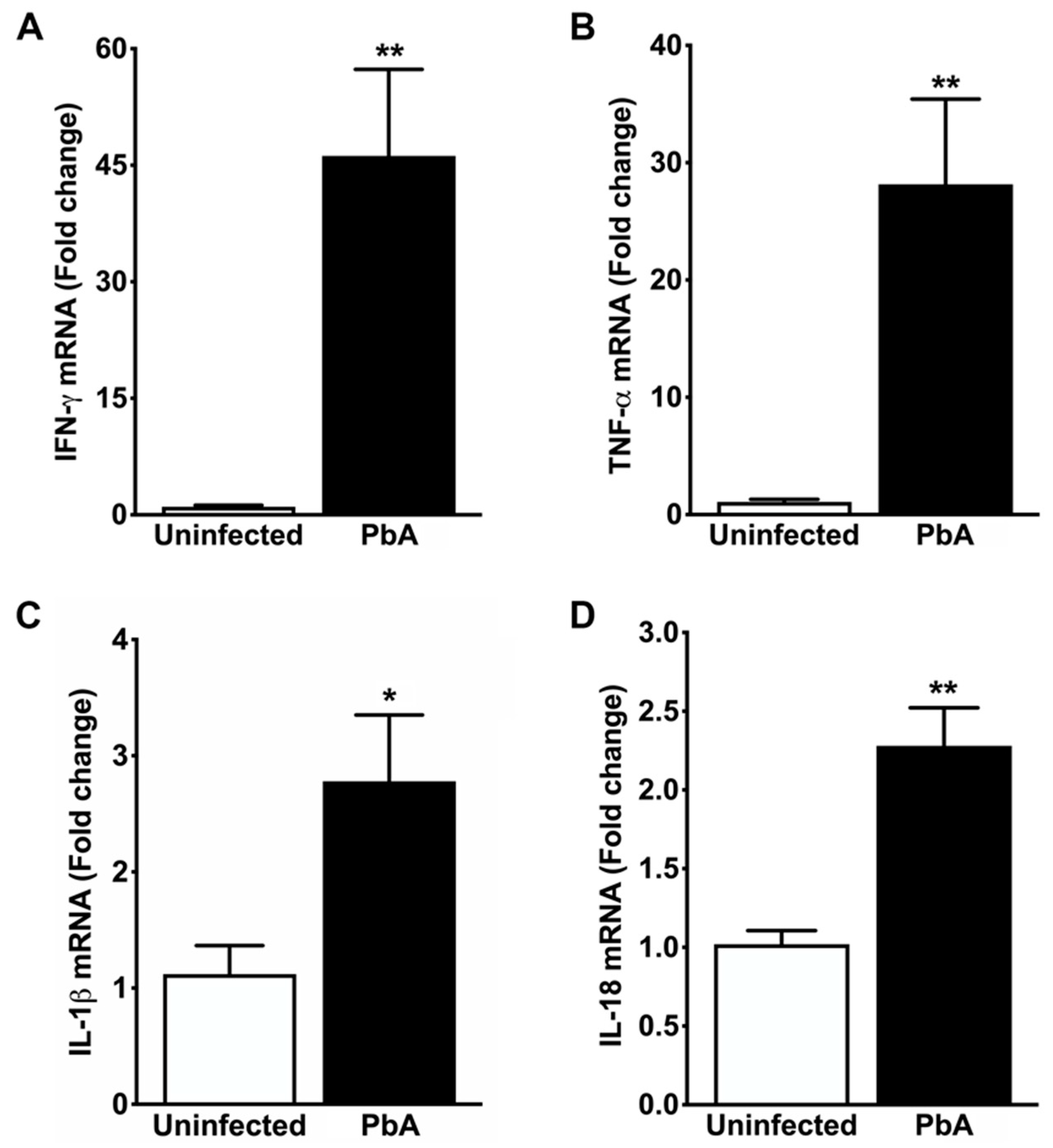 Pathogens 13 00376 g006