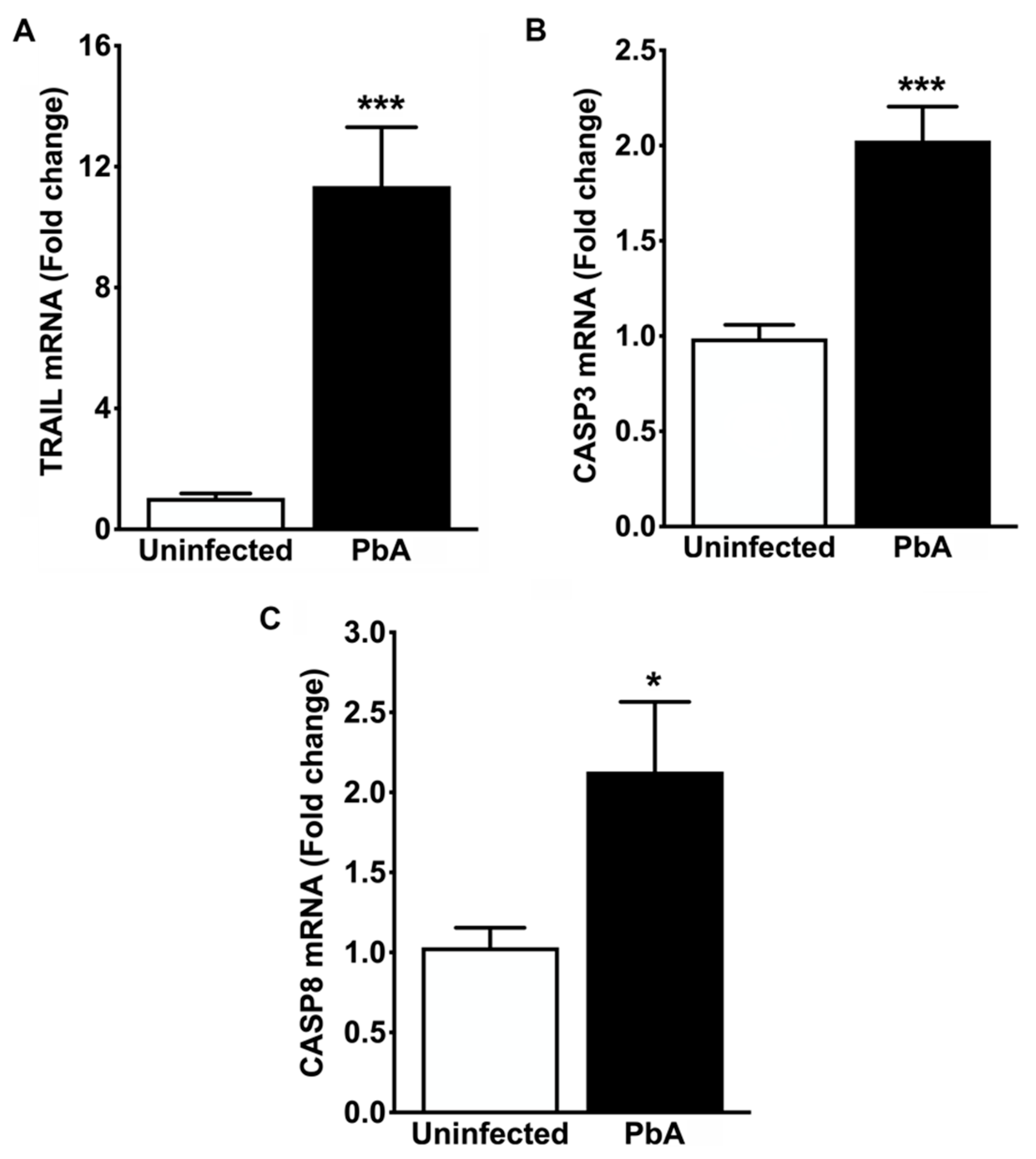 Pathogens 13 00376 g008