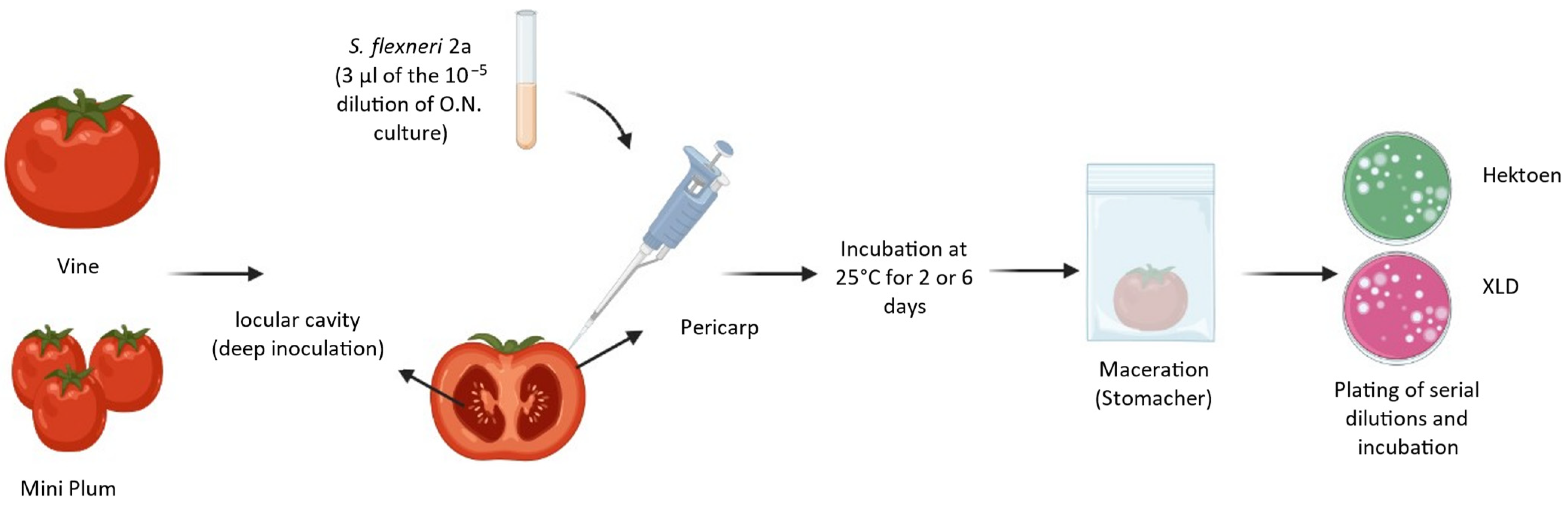 Pathogens 13 00379 g001 Pathogens 13 00379 g001