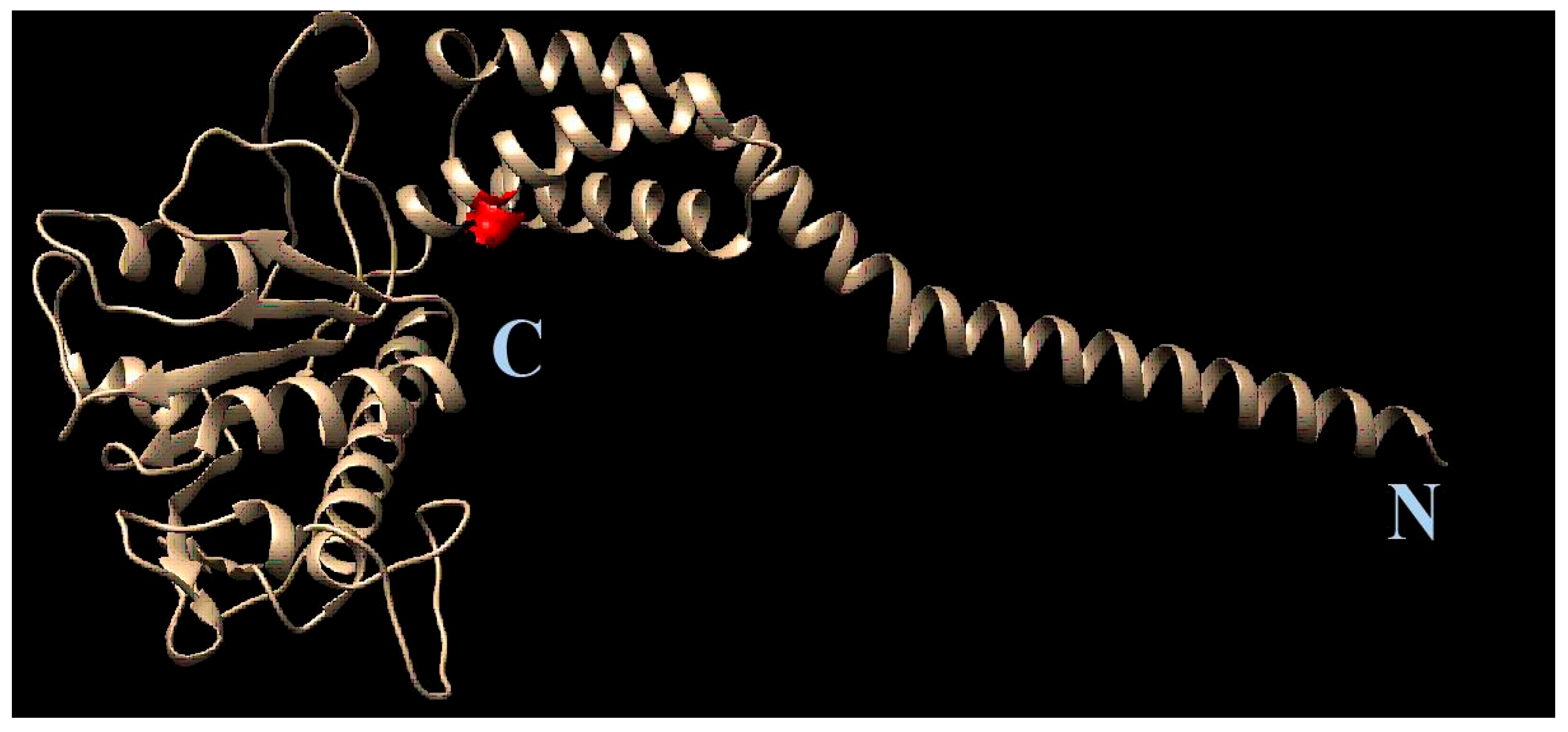 Pathogens 13 00410 g008