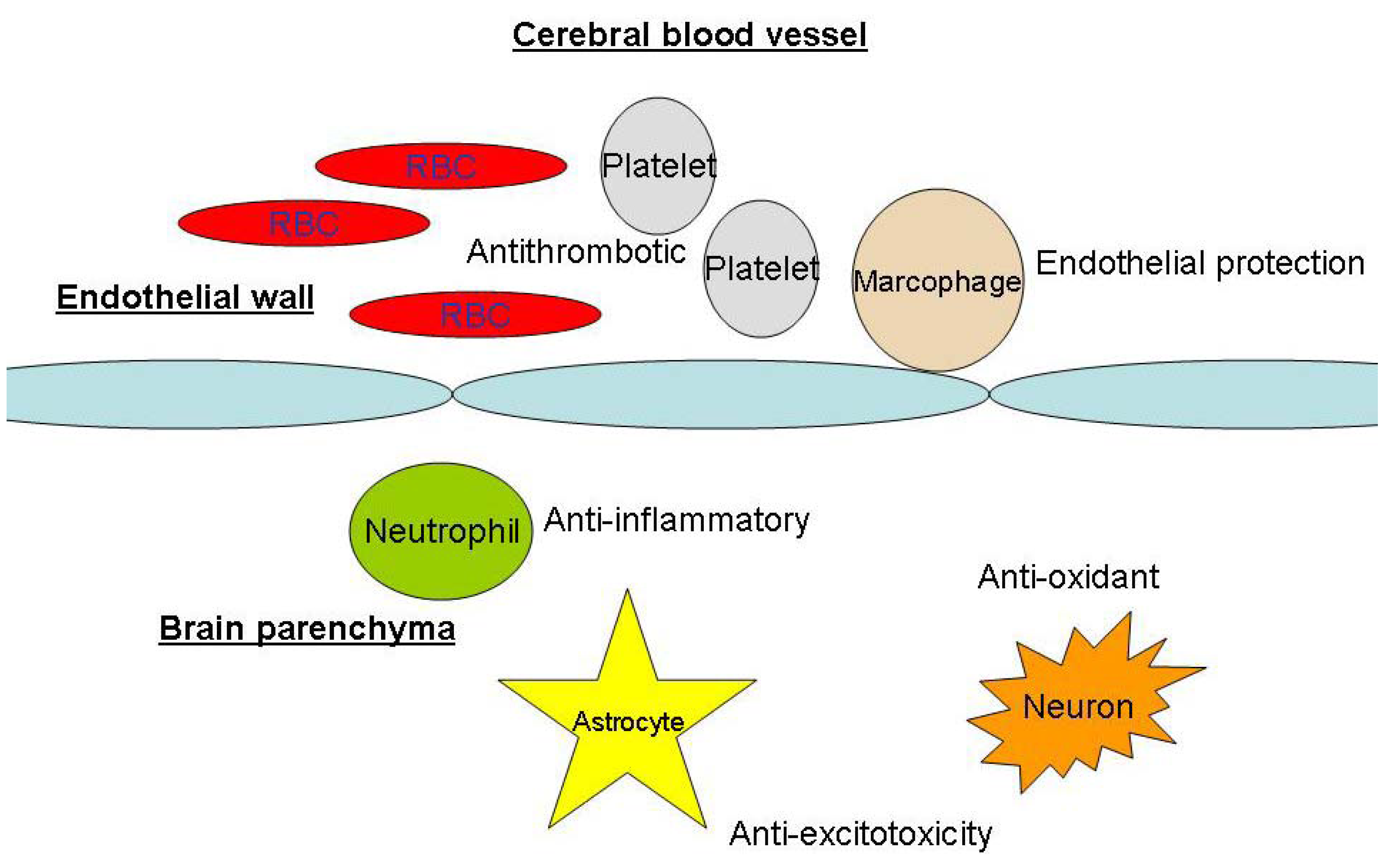 Pharmaceuticals 03 03186 g003