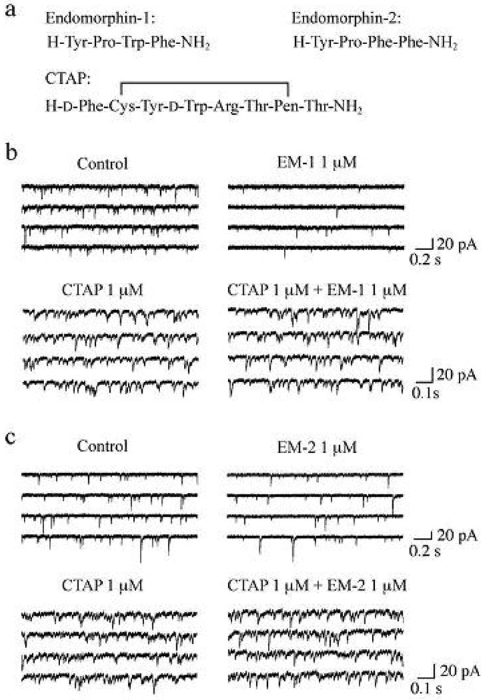 Pharmaceuticals 04 00343f4 1024