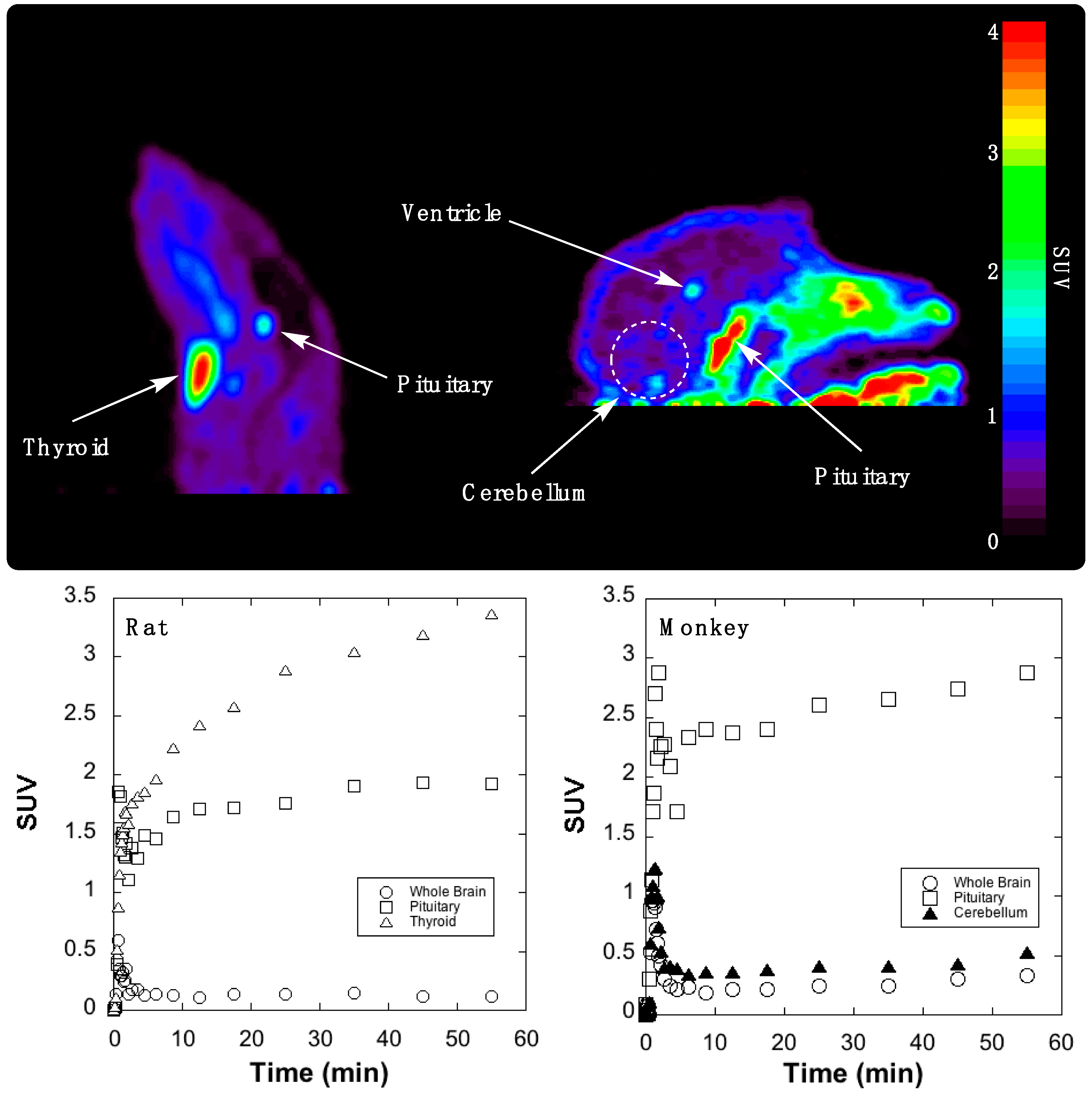 Pharmaceuticals 11 00136 g002 Pharmaceuticals 11 00136 g002
