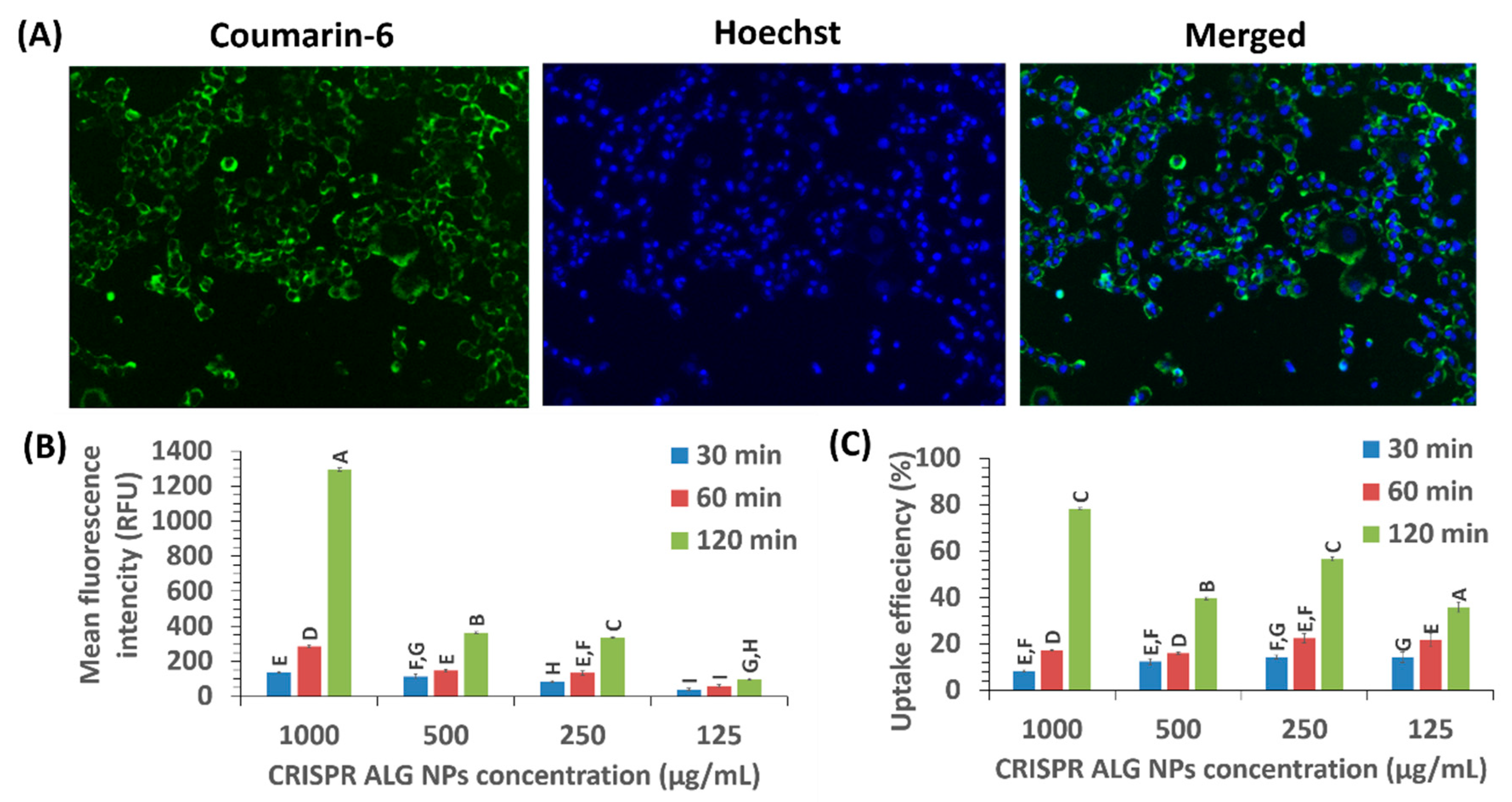 Pharmaceuticals 13 00158 g009