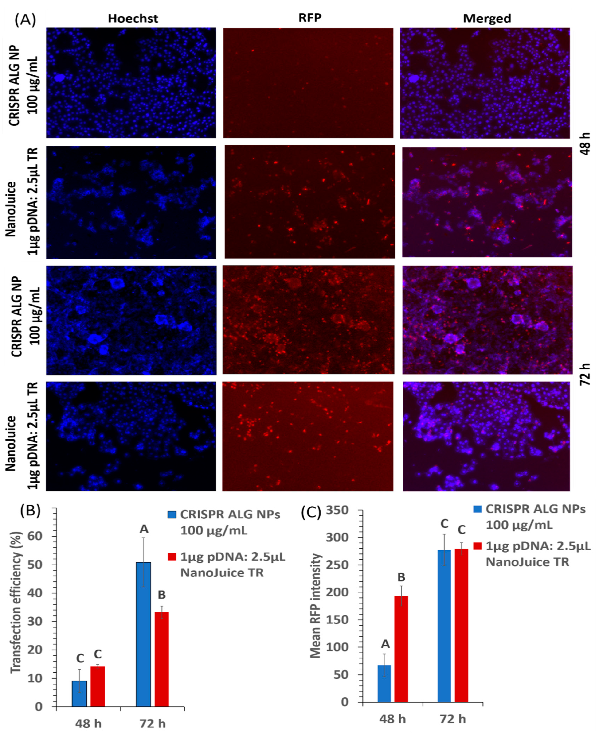 Pharmaceuticals 13 00158 g010