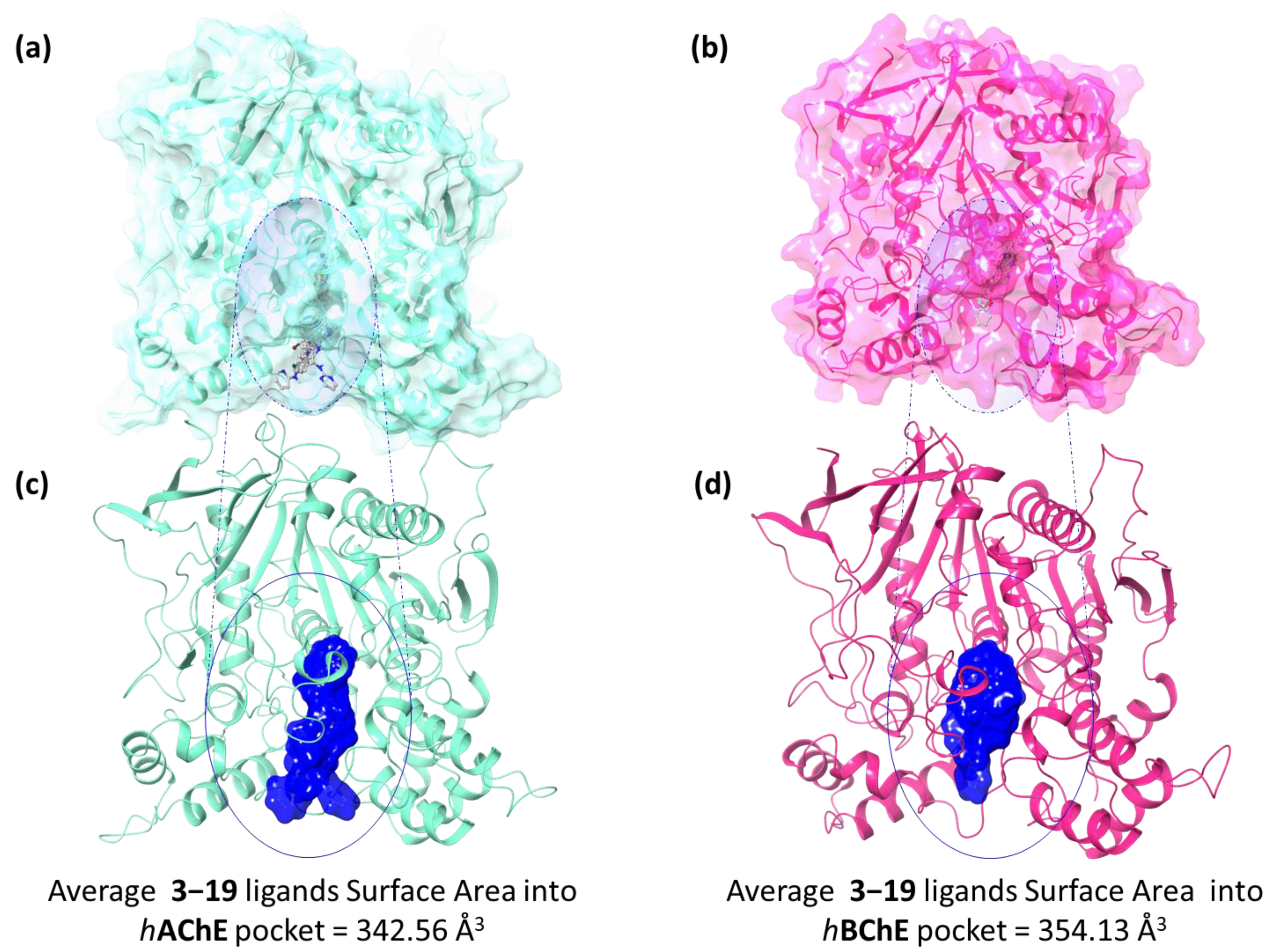 Pharmaceuticals 15 00673 g003