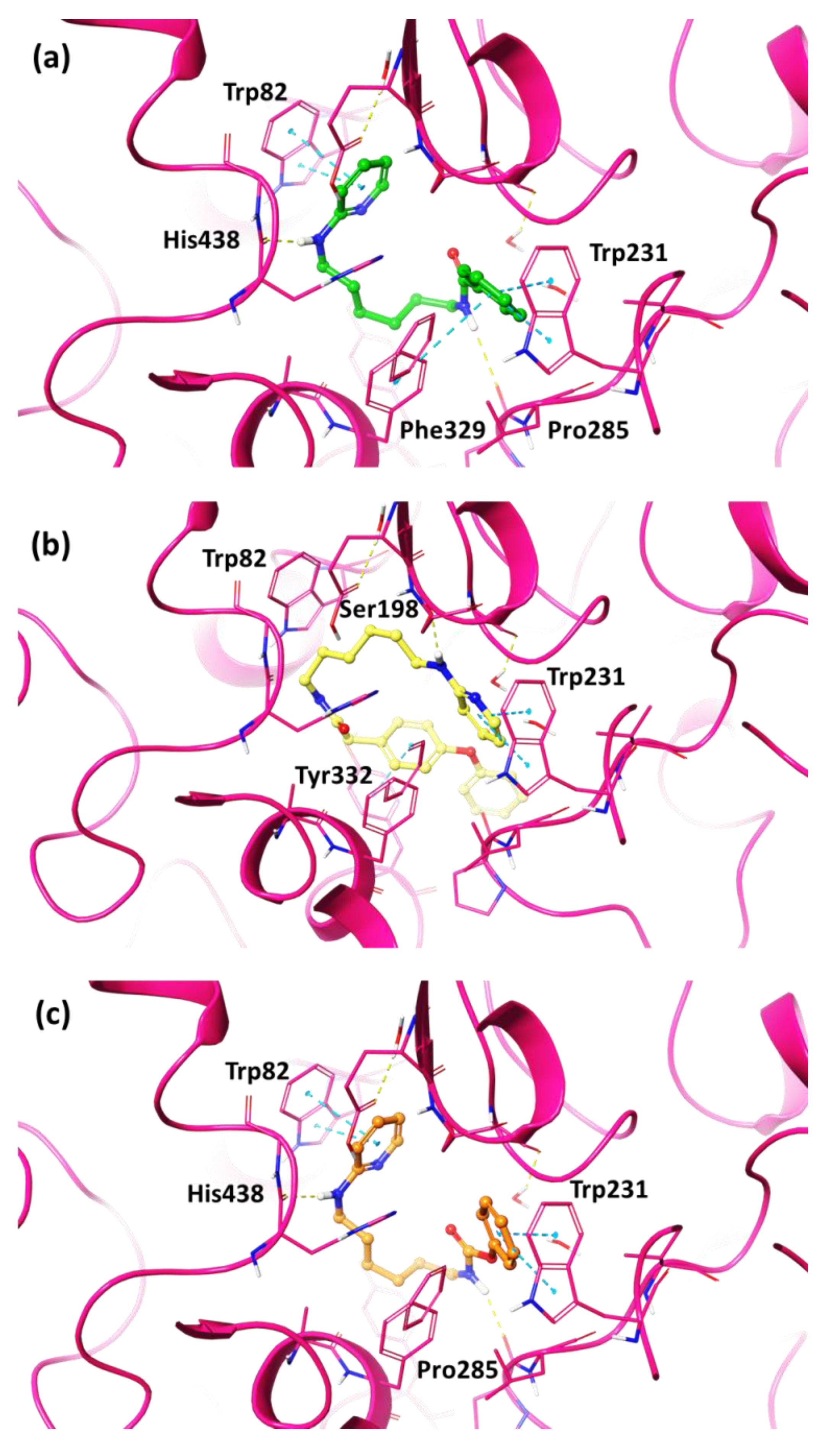 Pharmaceuticals 15 00673 g005