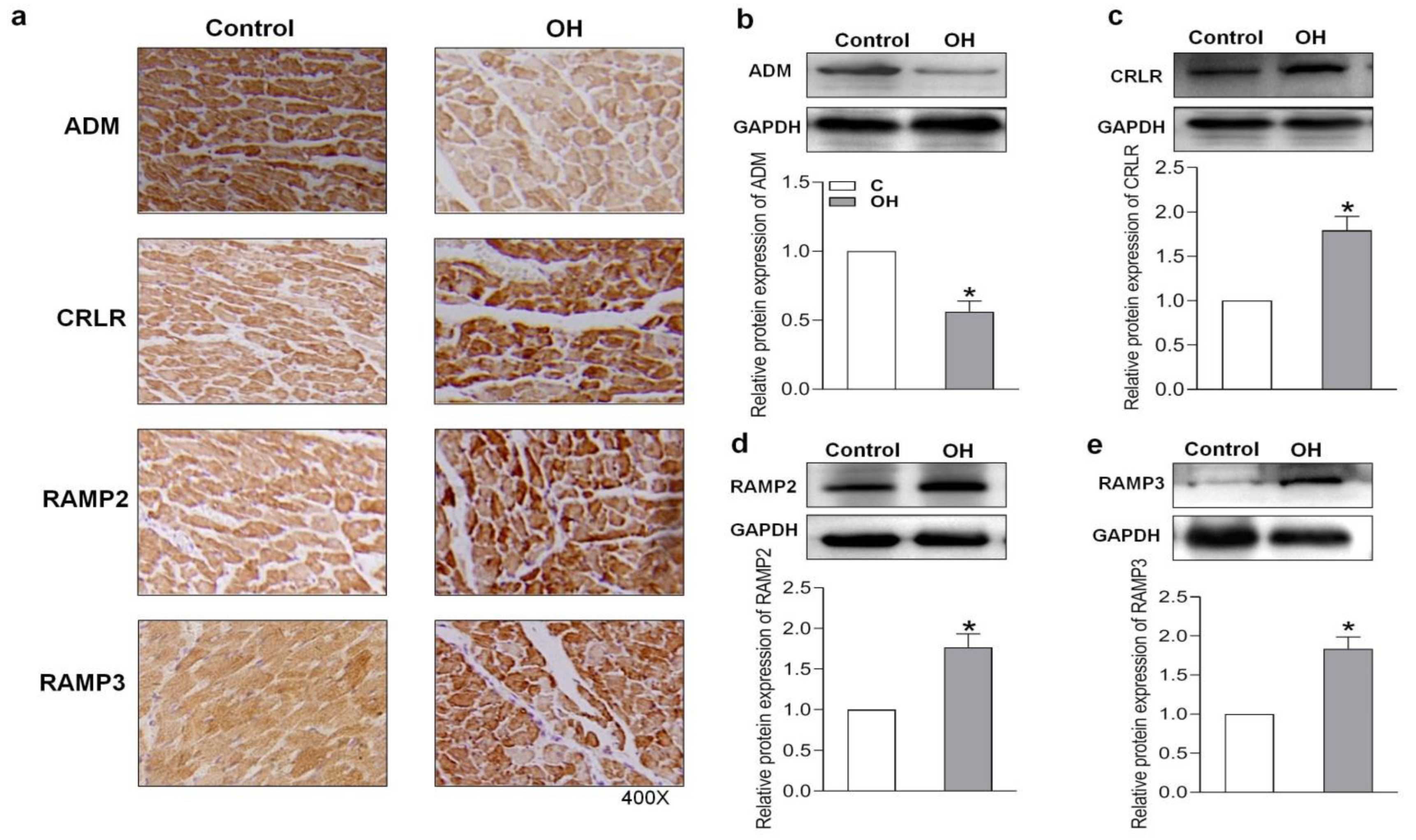 Pharmaceuticals 15 00719 g003
