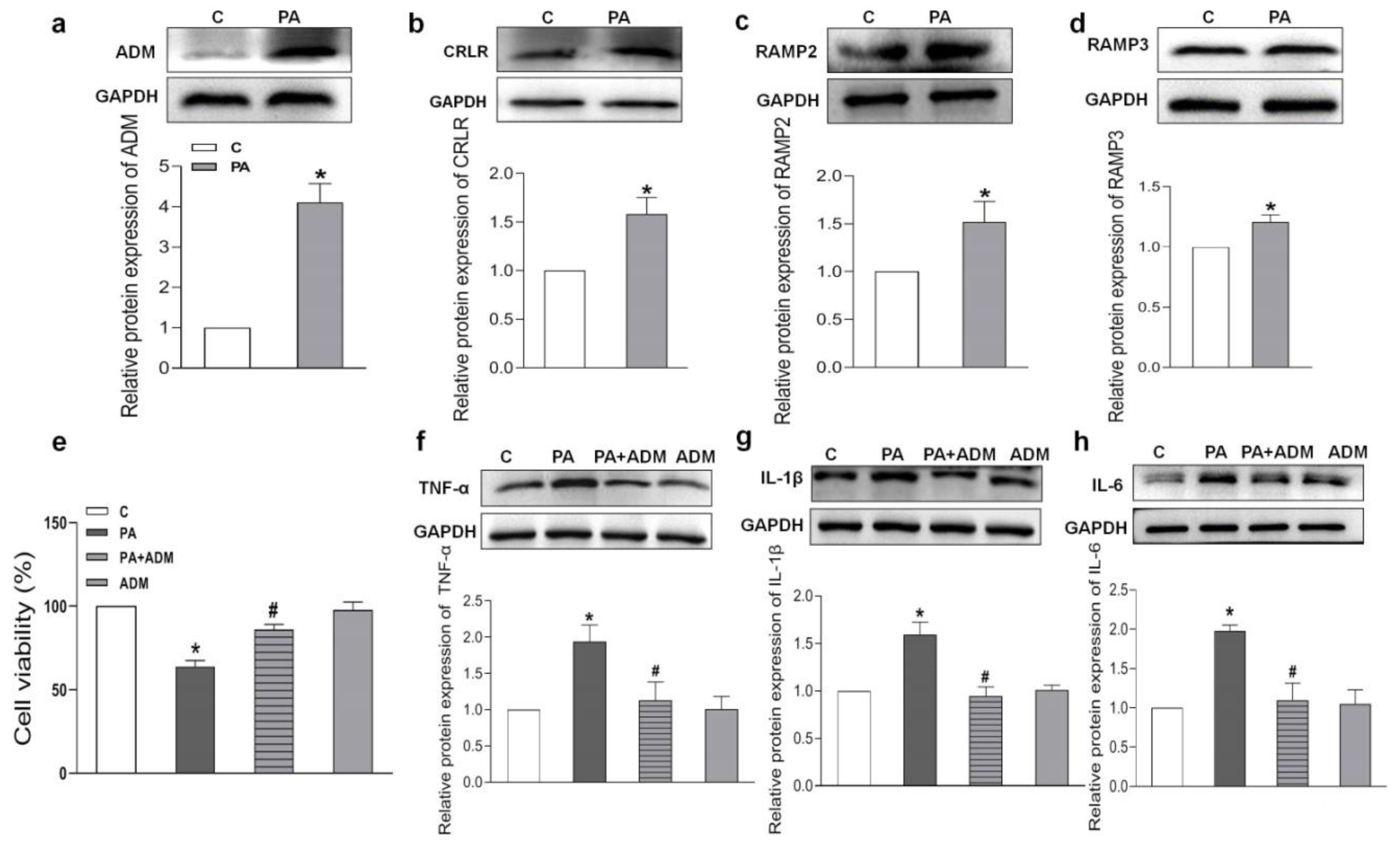 Pharmaceuticals 15 00719 g006