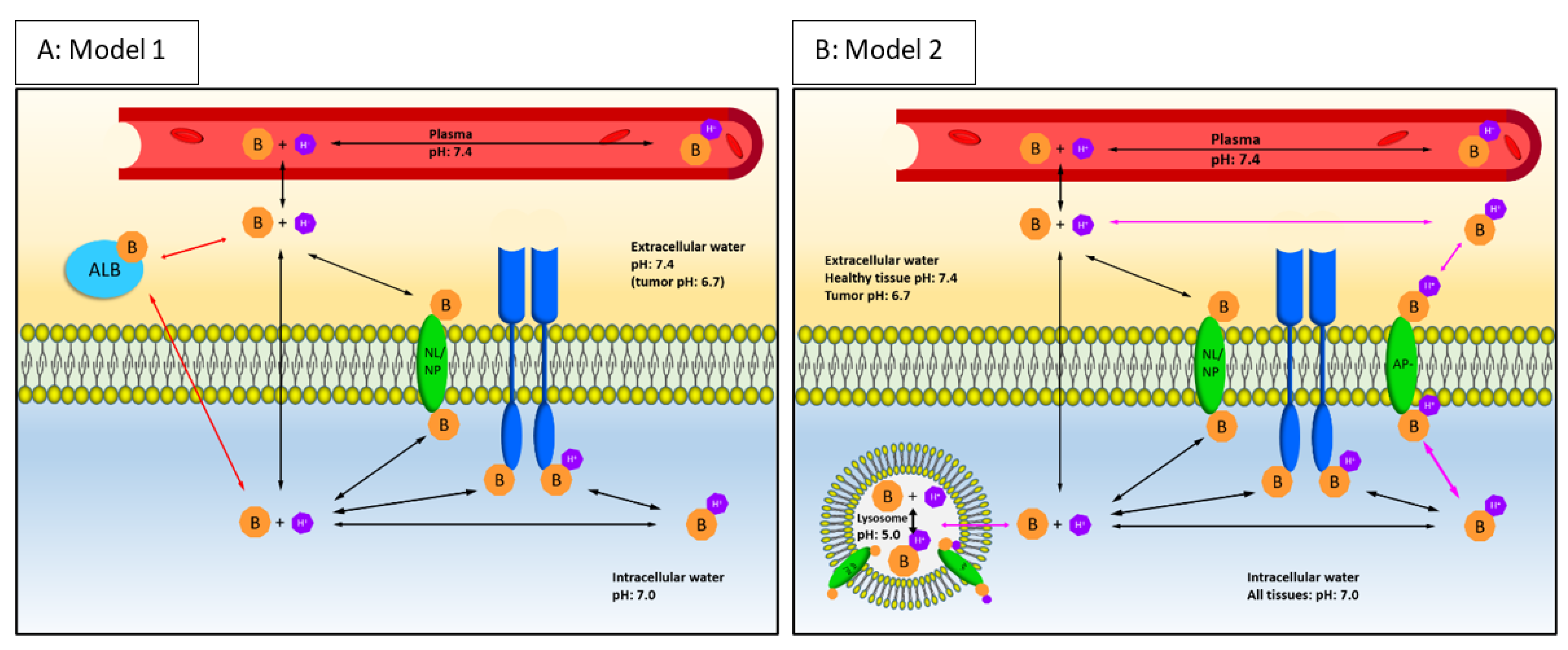 Pharmaceuticals 15 00796 g003
