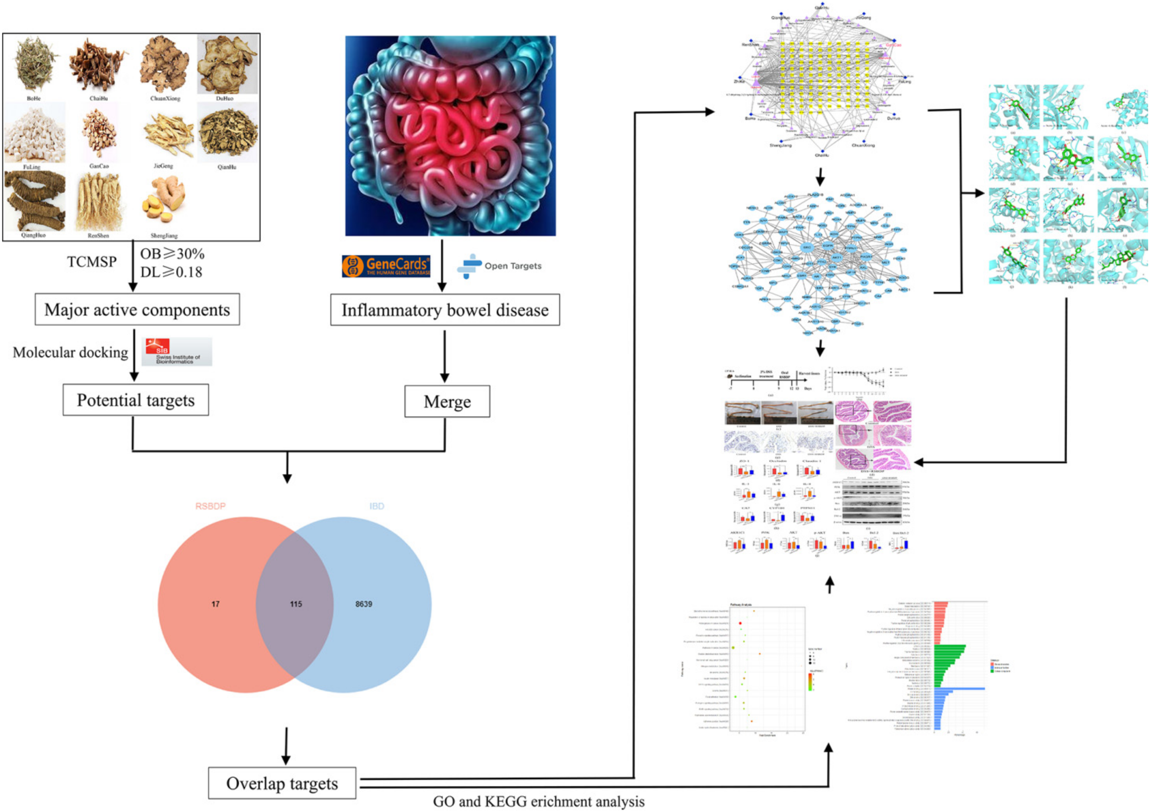Pharmaceuticals 15 01038 g001