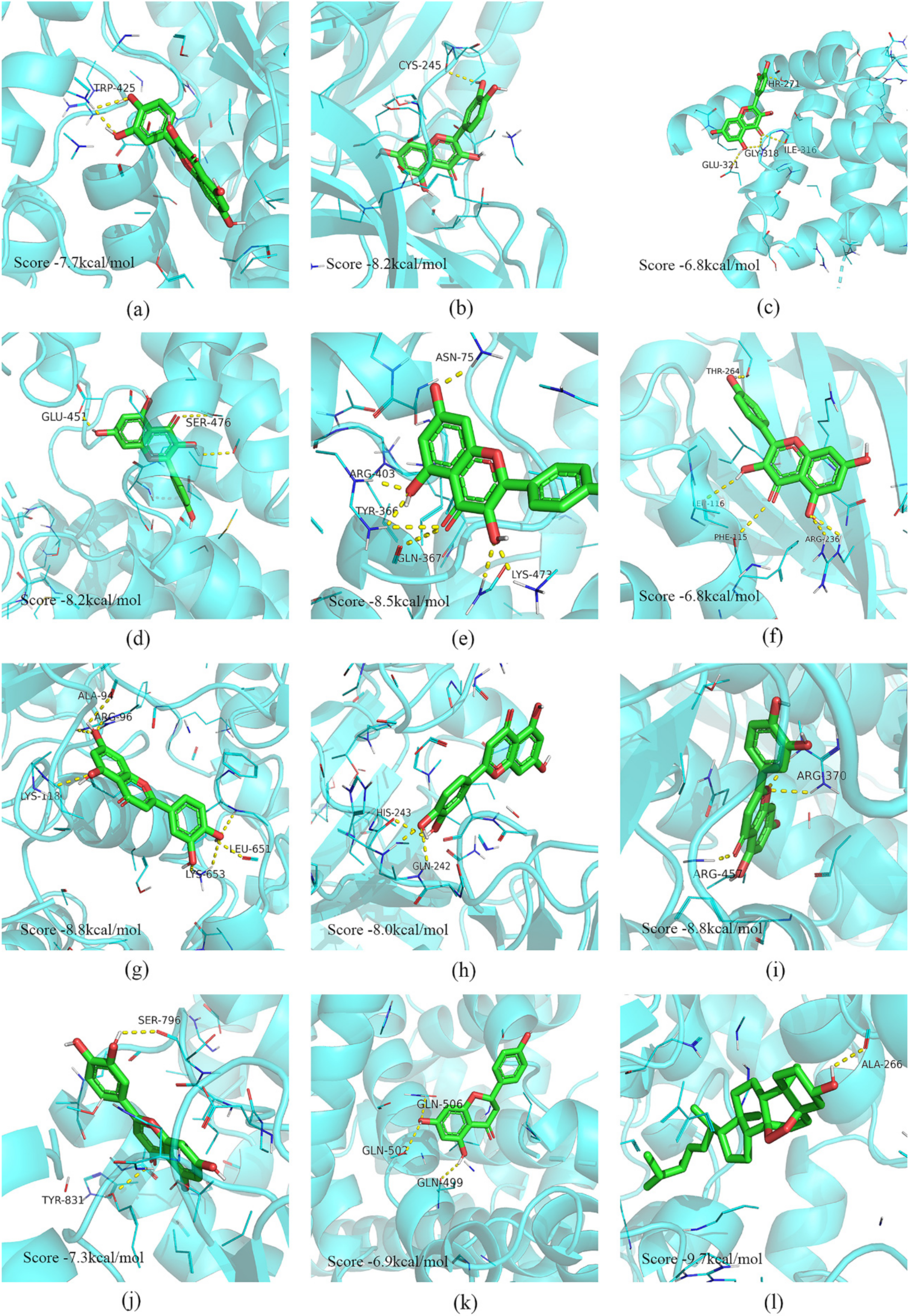 Pharmaceuticals 15 01038 g006