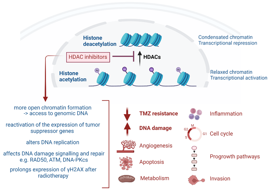 Pharmaceuticals 16 00227 g001
