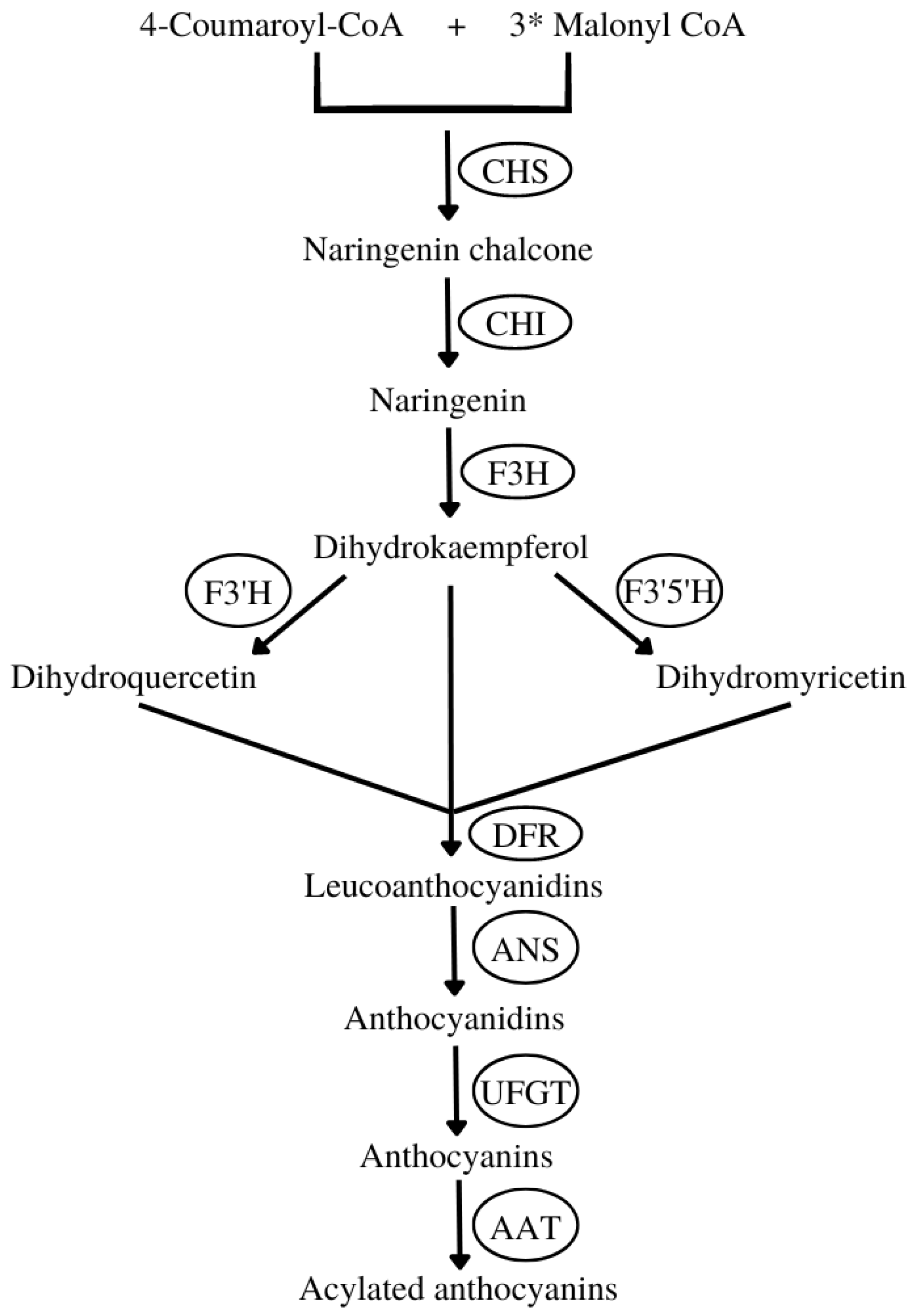 Pharmaceuticals 16 00638 g003