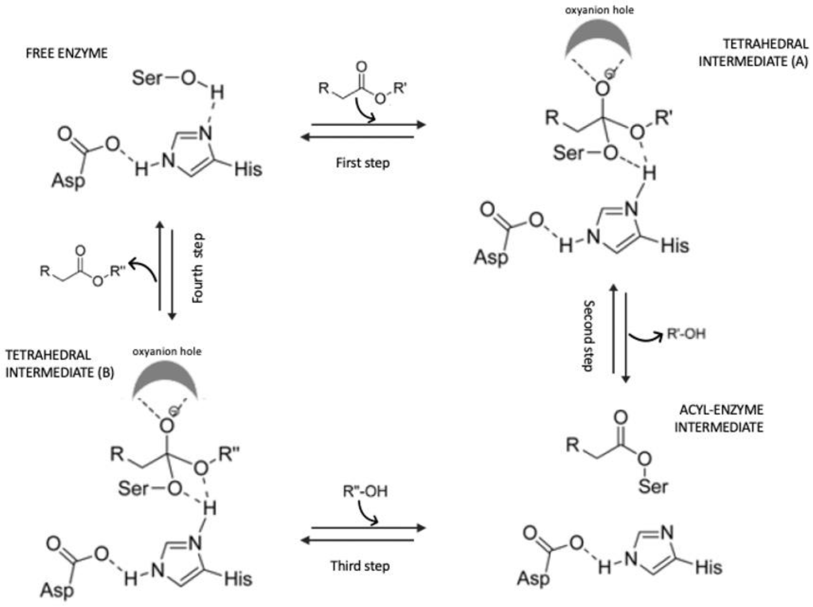 Pharmaceuticals 16 00638 g005
