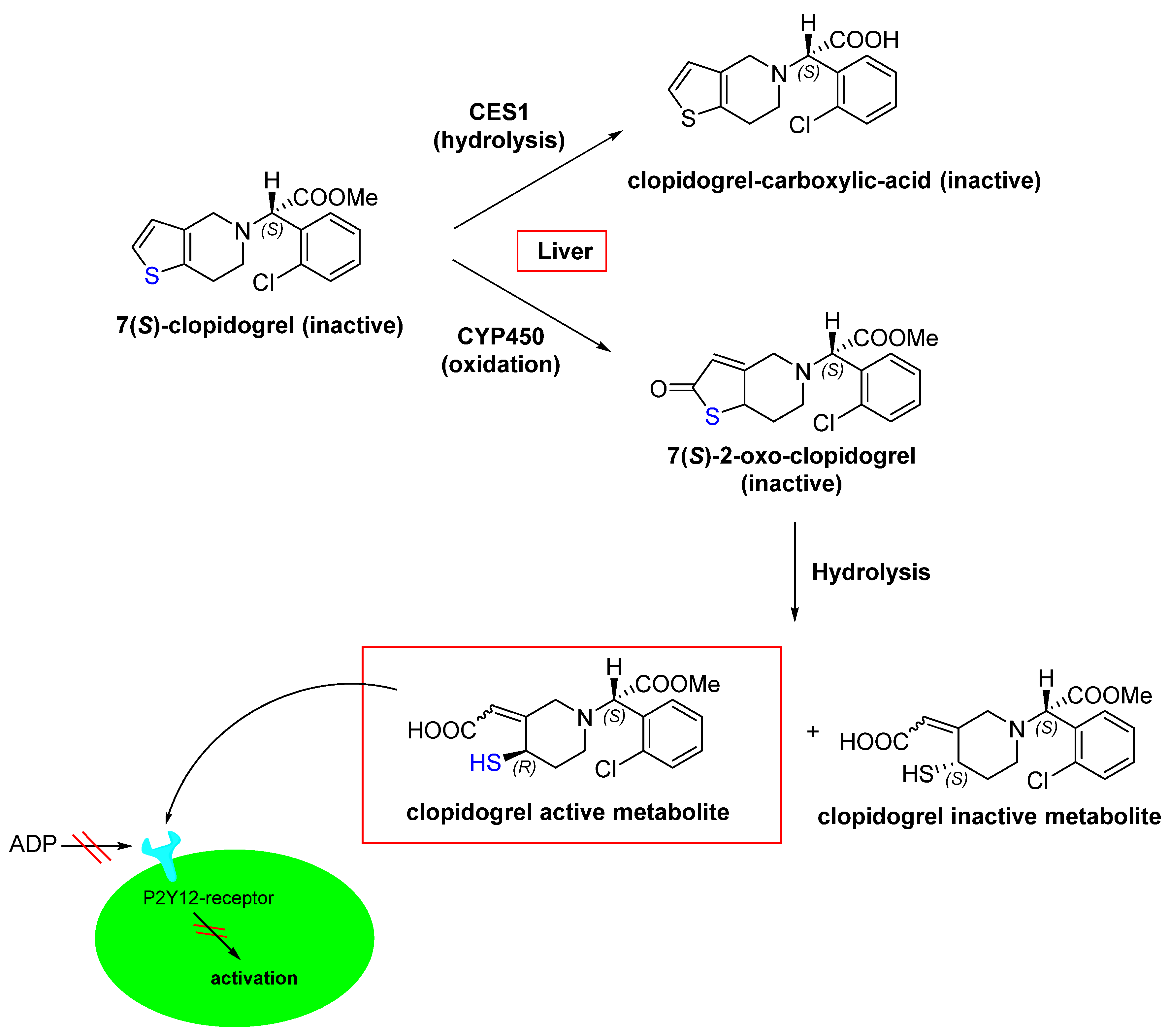 Pharmaceuticals 16 00663 g007