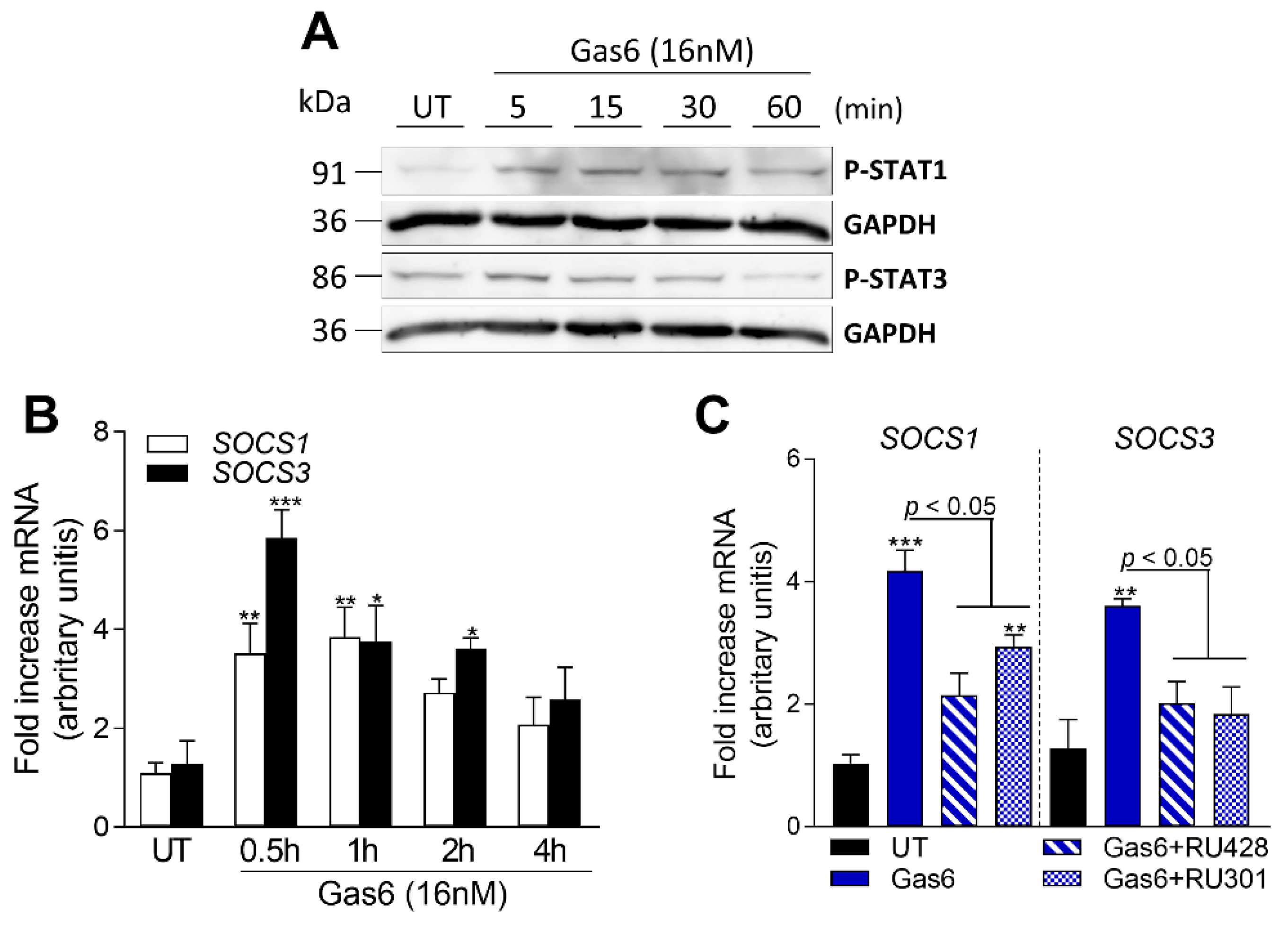 Pharmaceuticals 16 00703 g006
