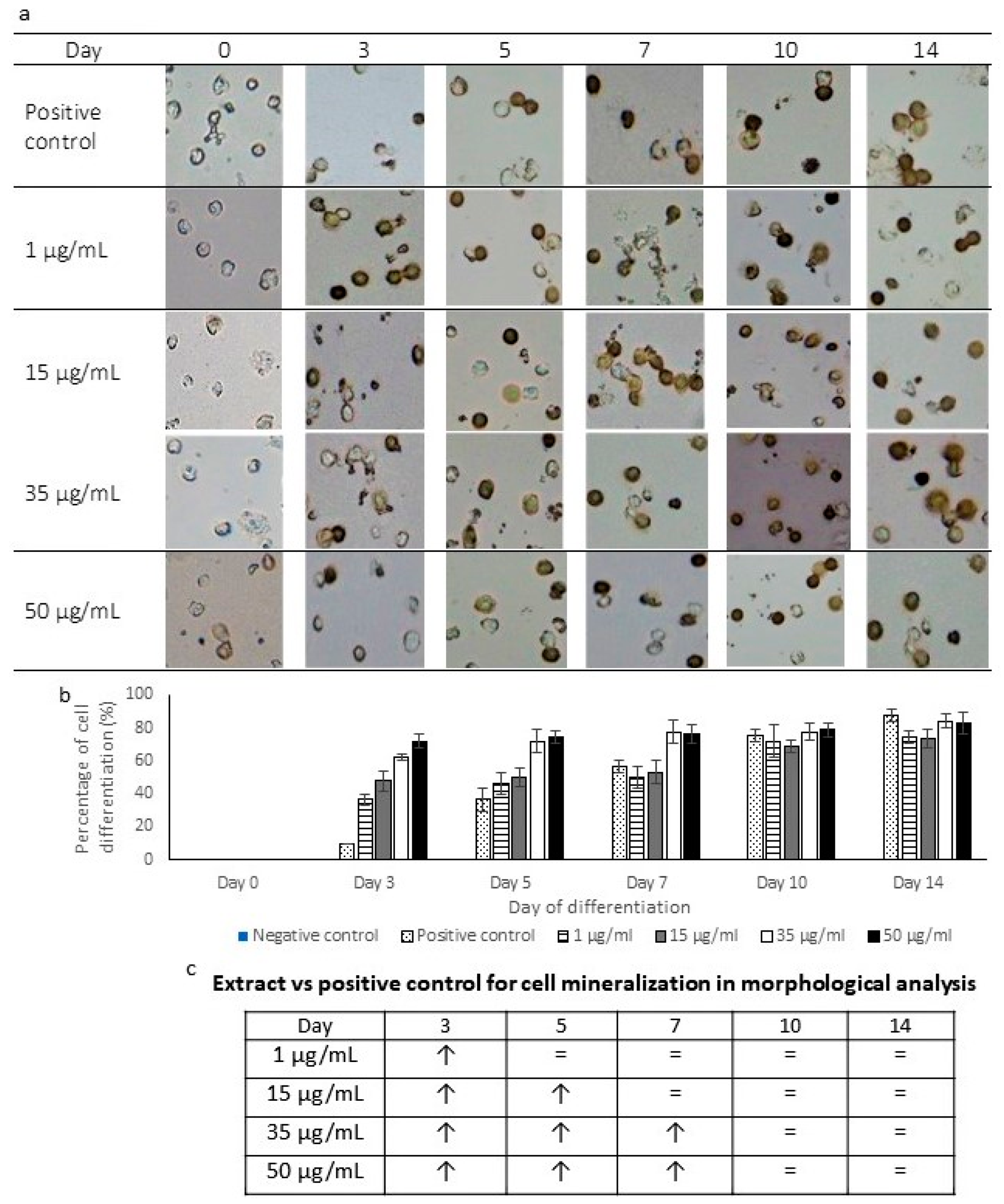 Pharmaceuticals 16 00708 g004