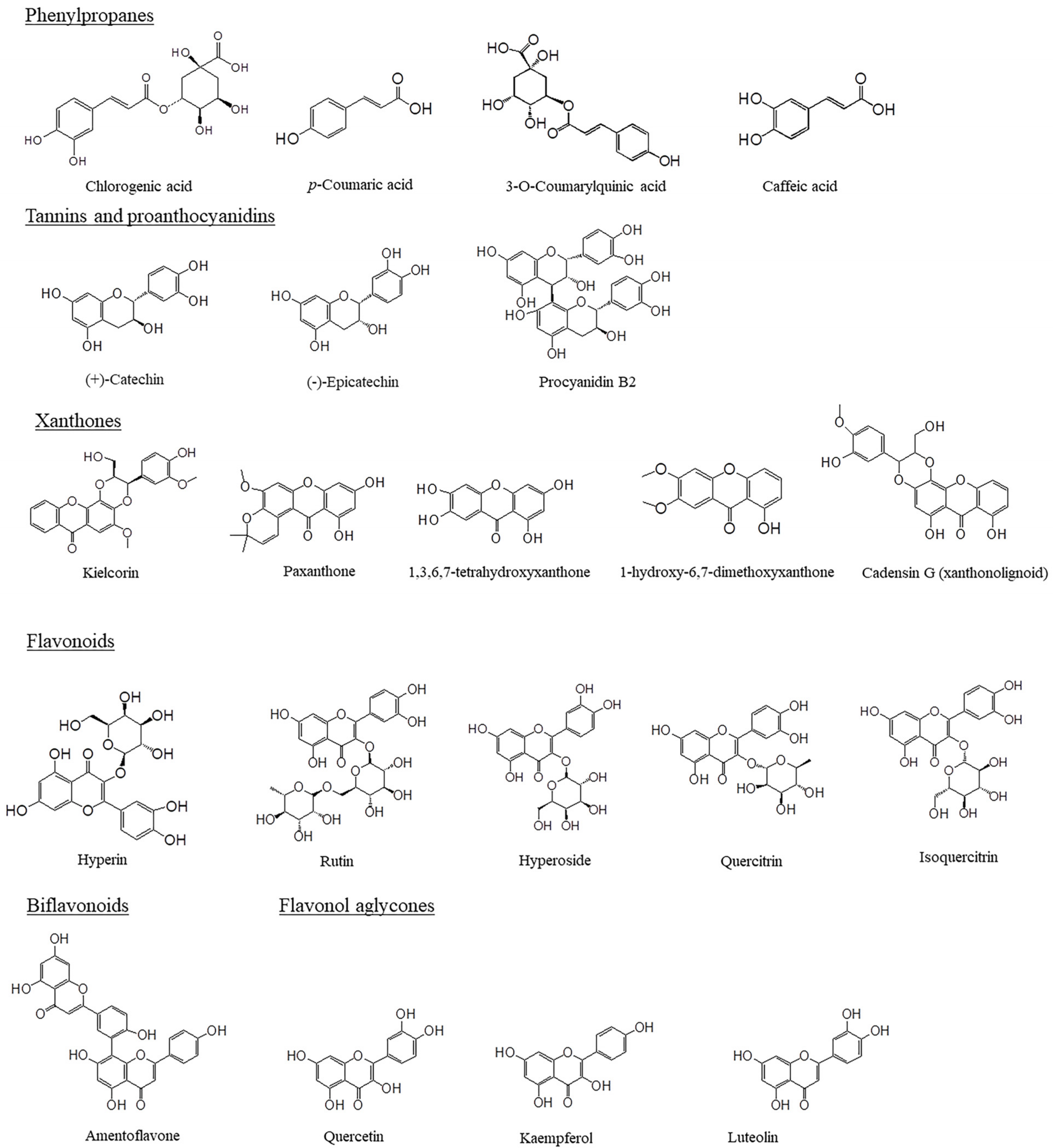 Pharmaceuticals 16 00887 g001a Pharmaceuticals 16 00887 g001a