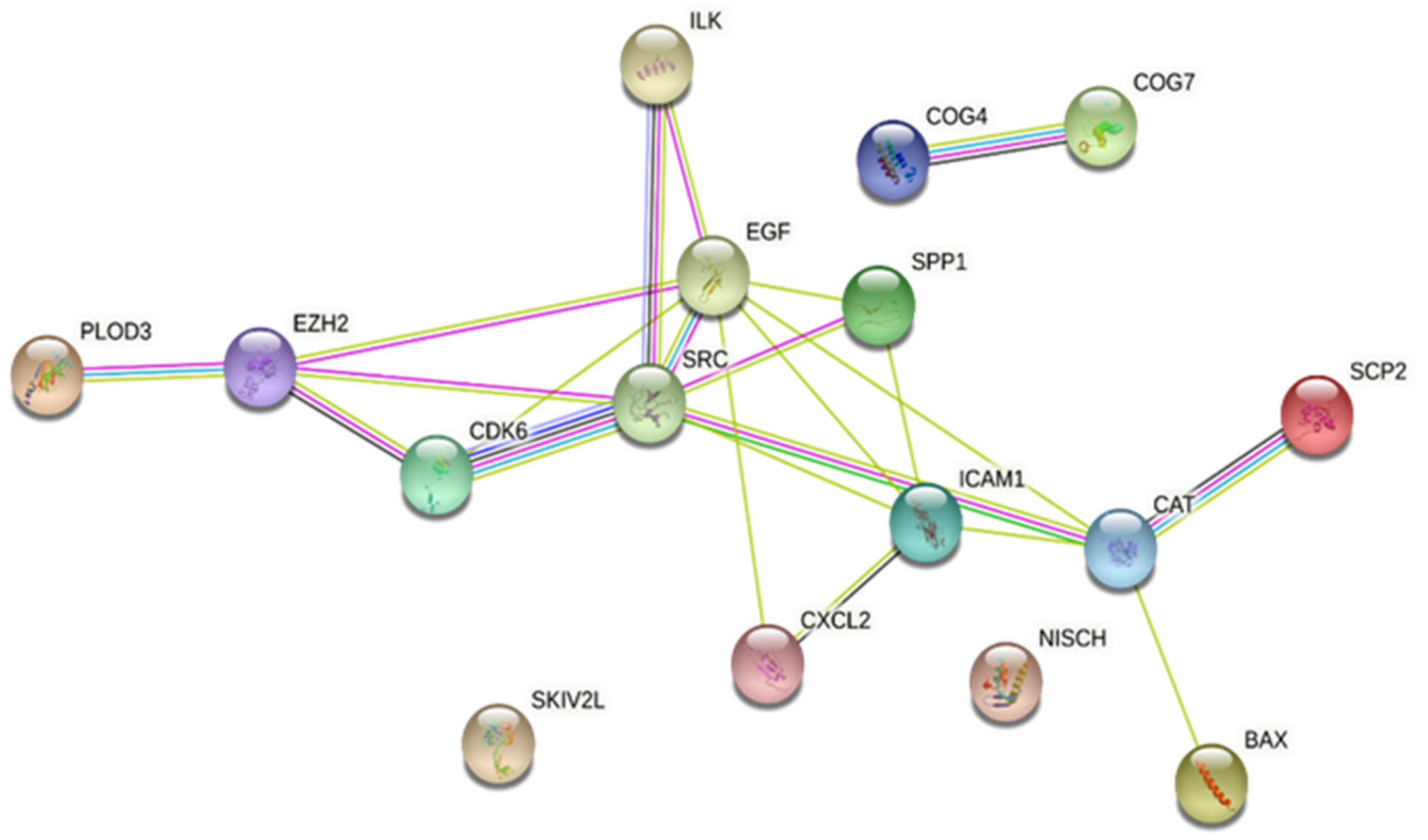 Pharmaceuticals 16 00887 g003a Pharmaceuticals 16 00887 g003a