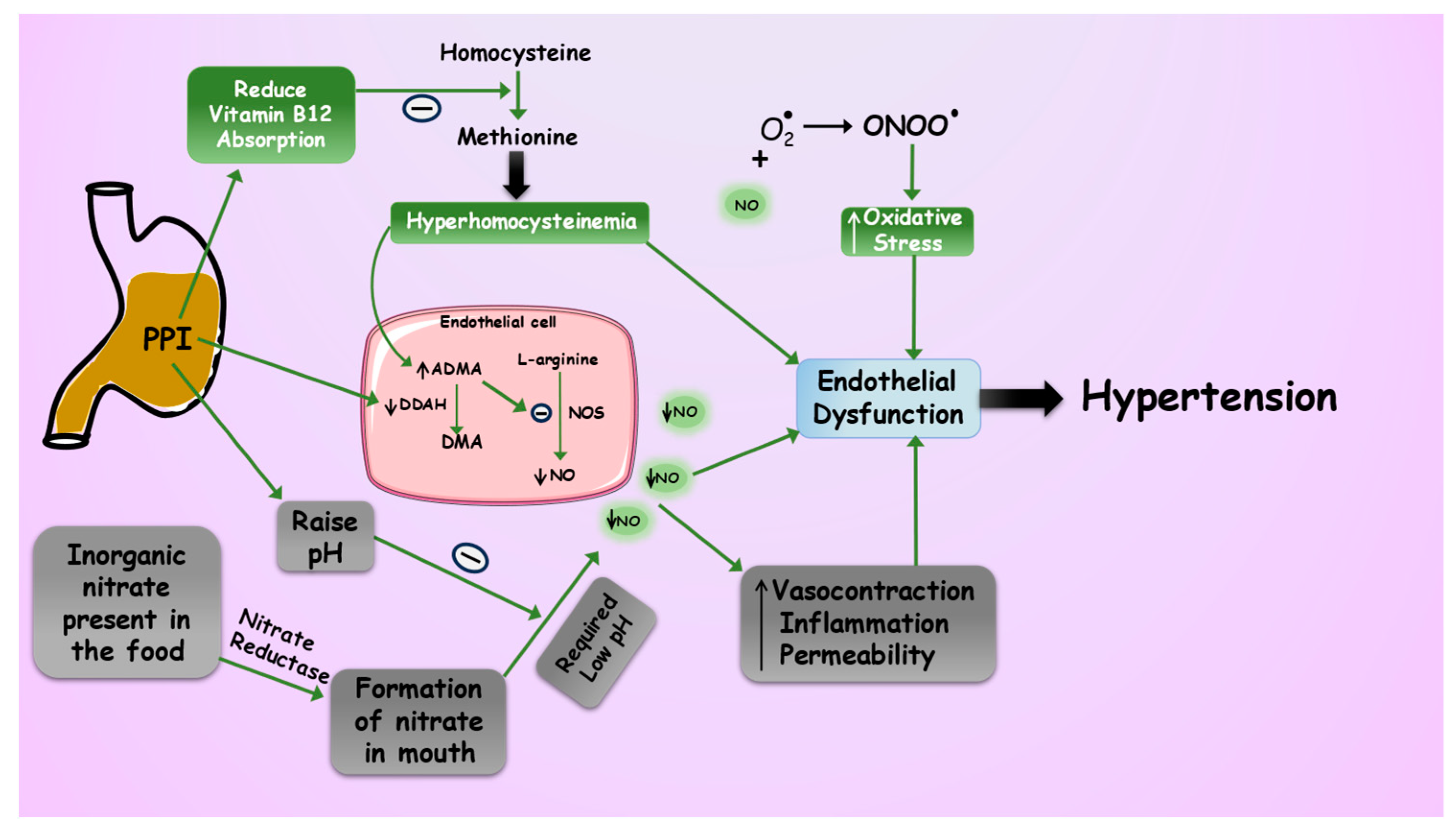 Pharmaceuticals 16 01387 g002