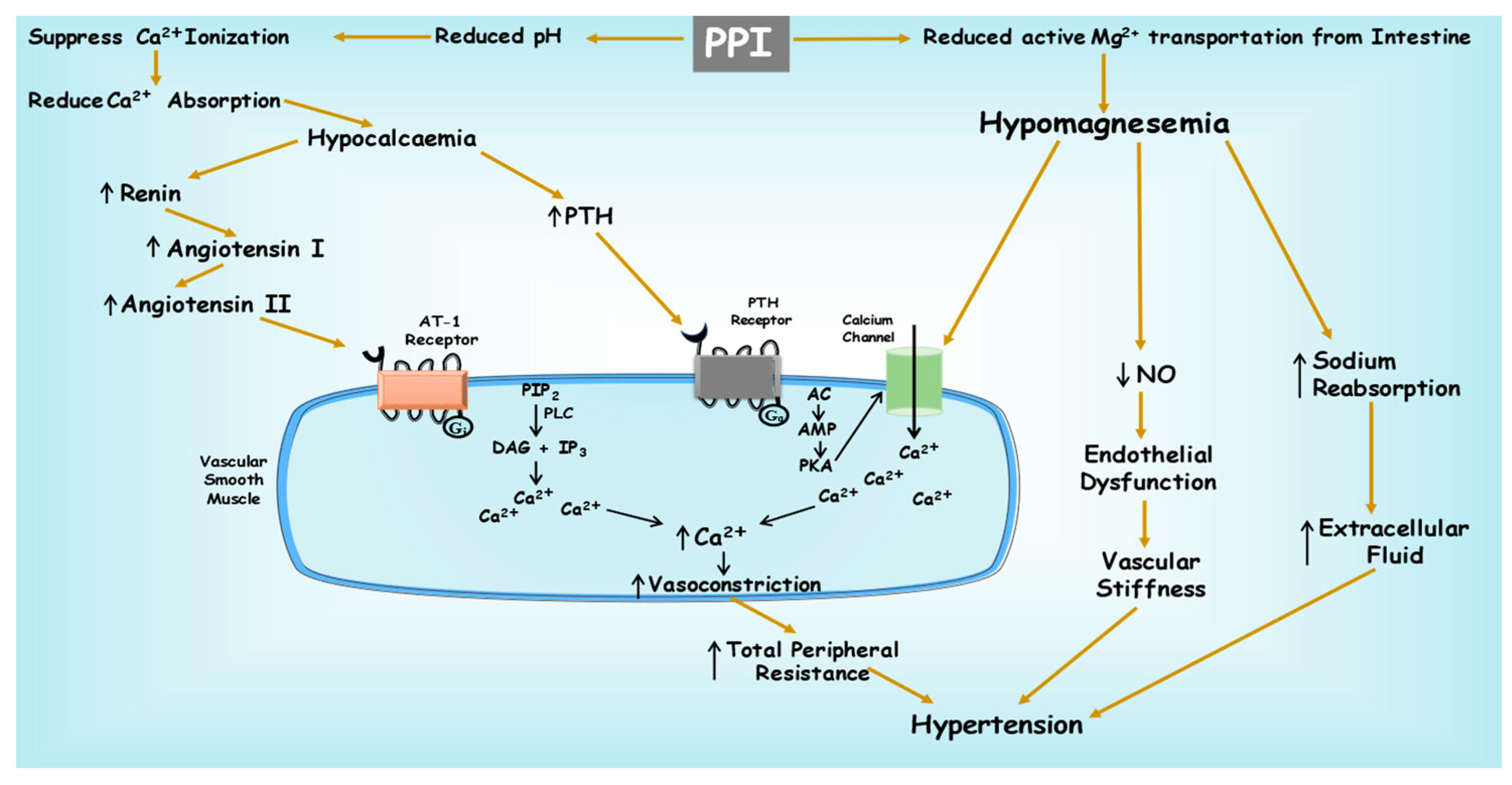 Pharmaceuticals 16 01387 g003
