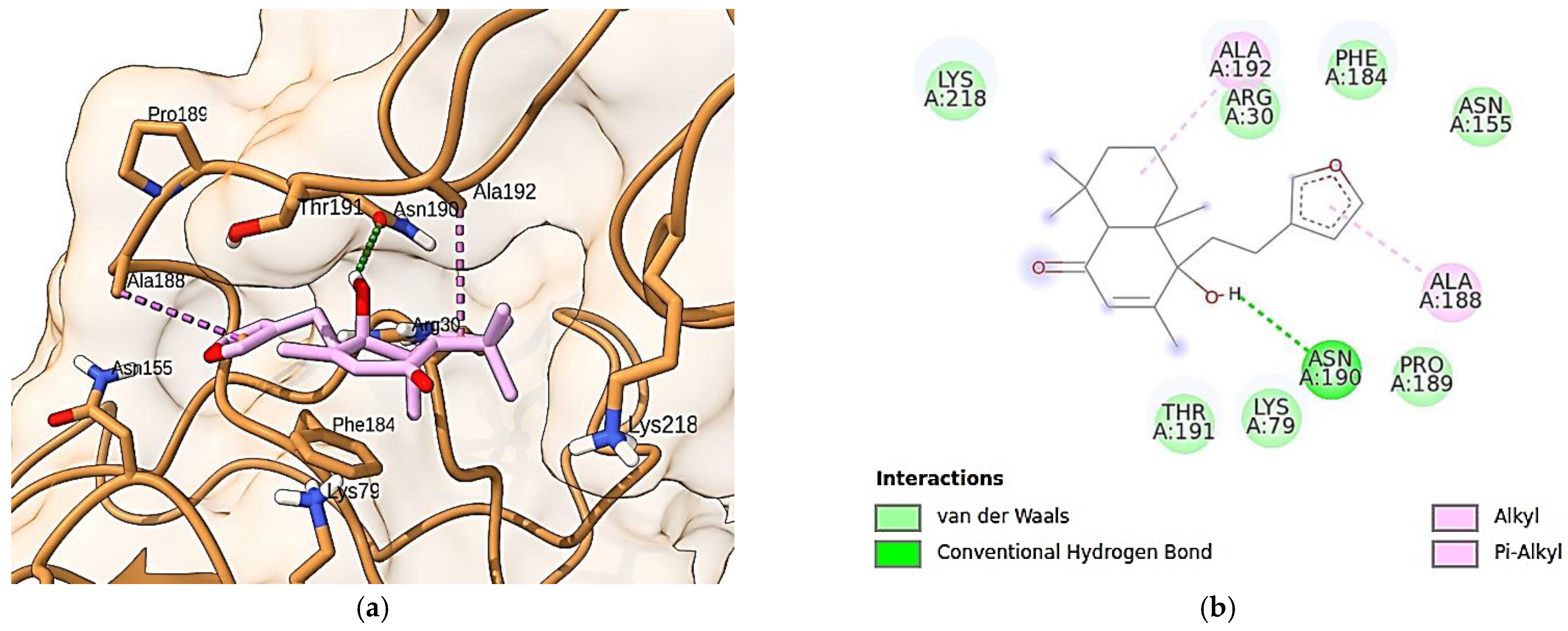 Pharmaceuticals 17 00273 g005