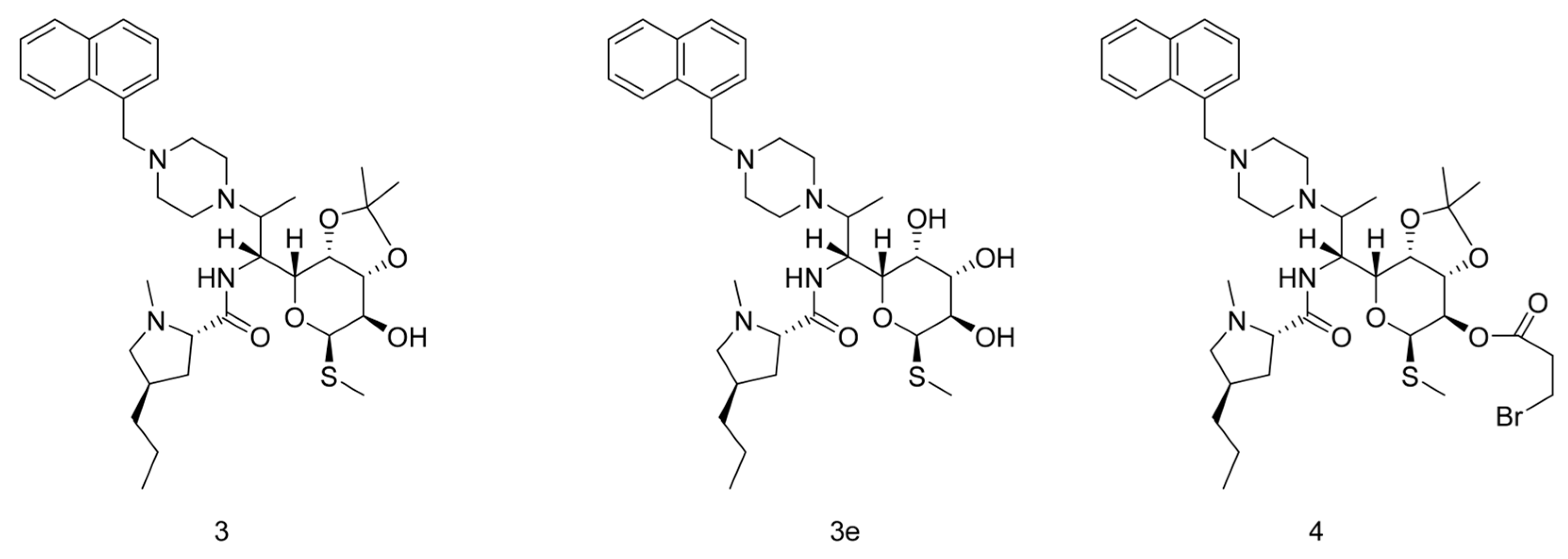 Pharmaceuticals 17 00276 g001
