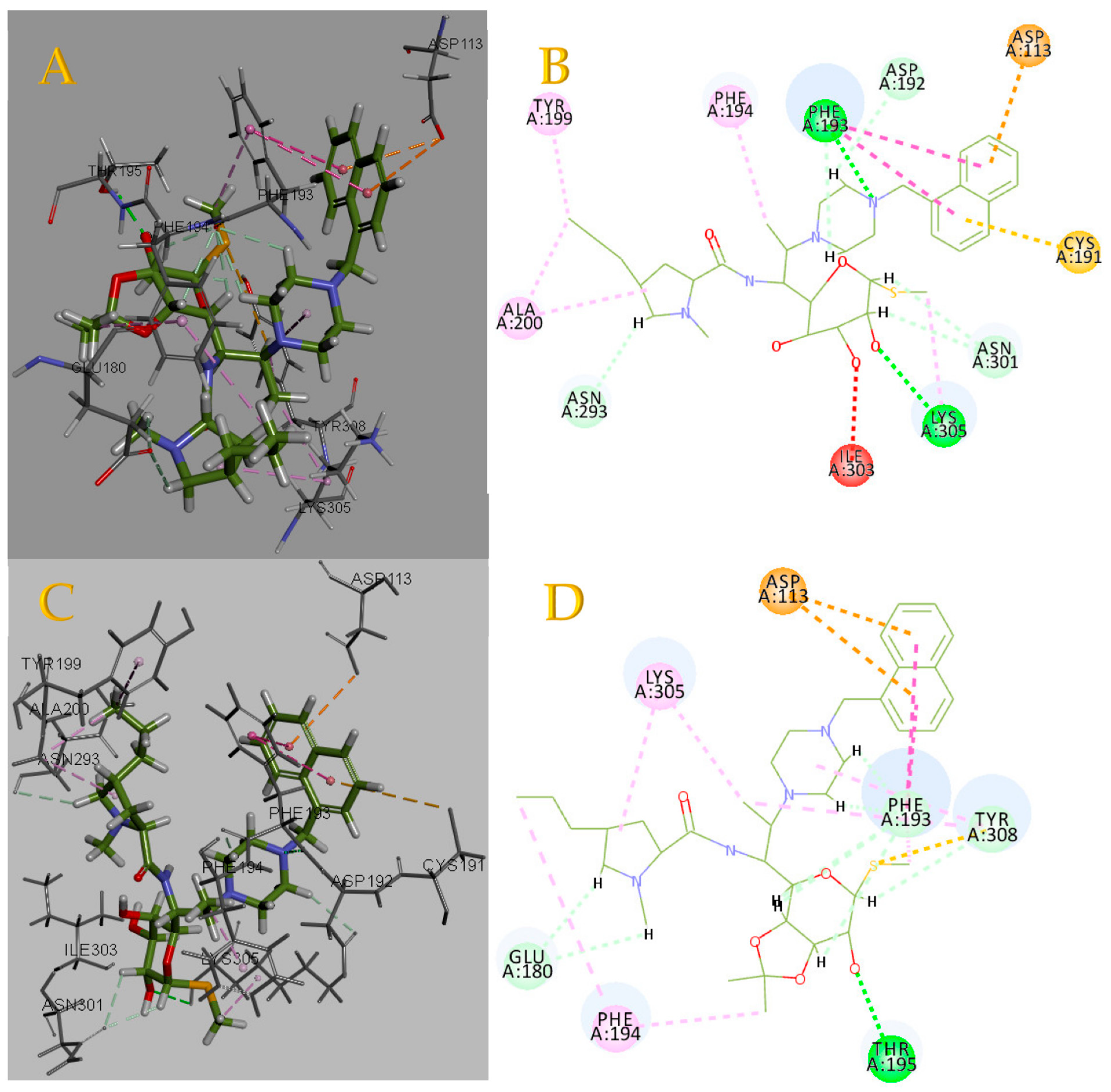 Pharmaceuticals 17 00276 g005