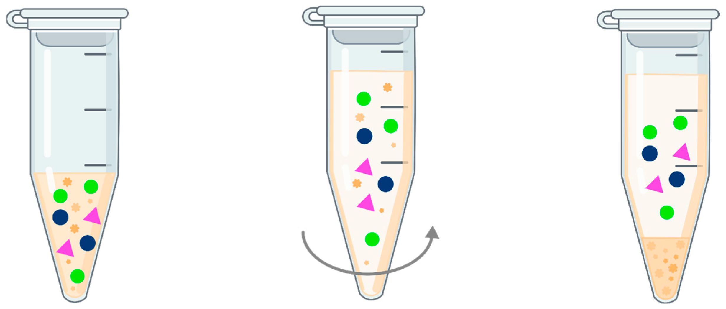 Pharmaceuticals 17 00403 g004