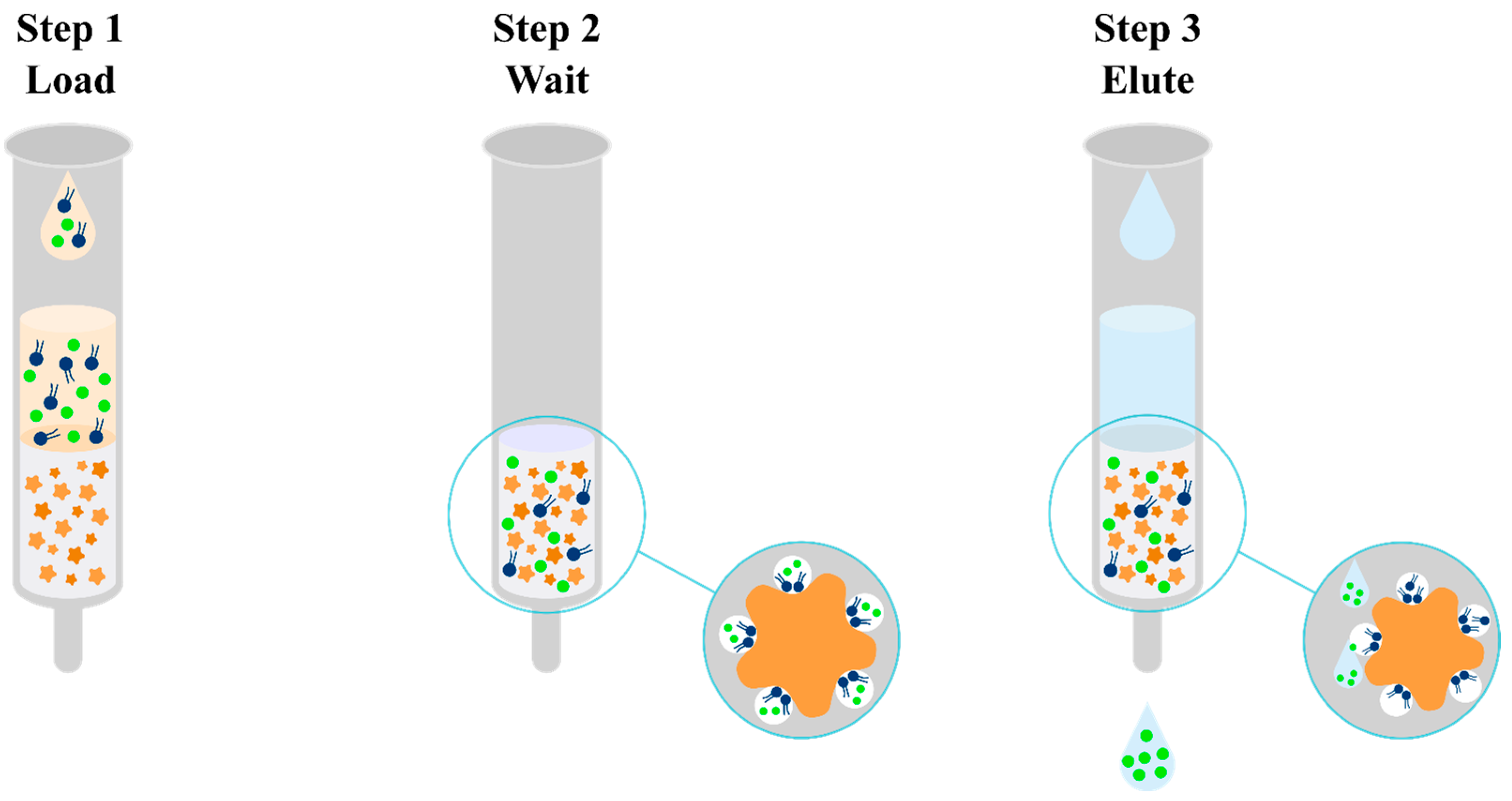 Pharmaceuticals 17 00403 g006