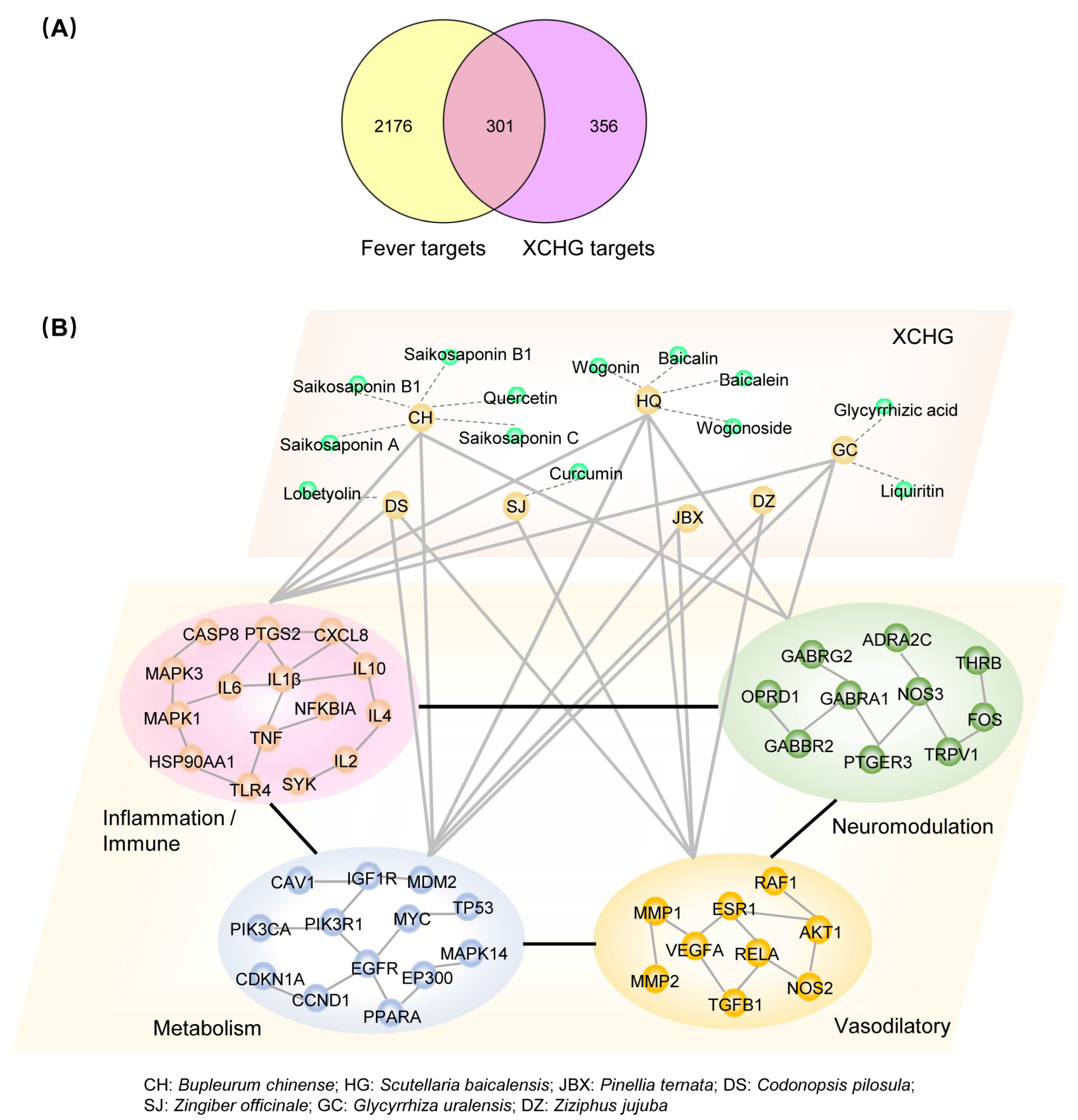 Pharmaceuticals 17 00475 g003