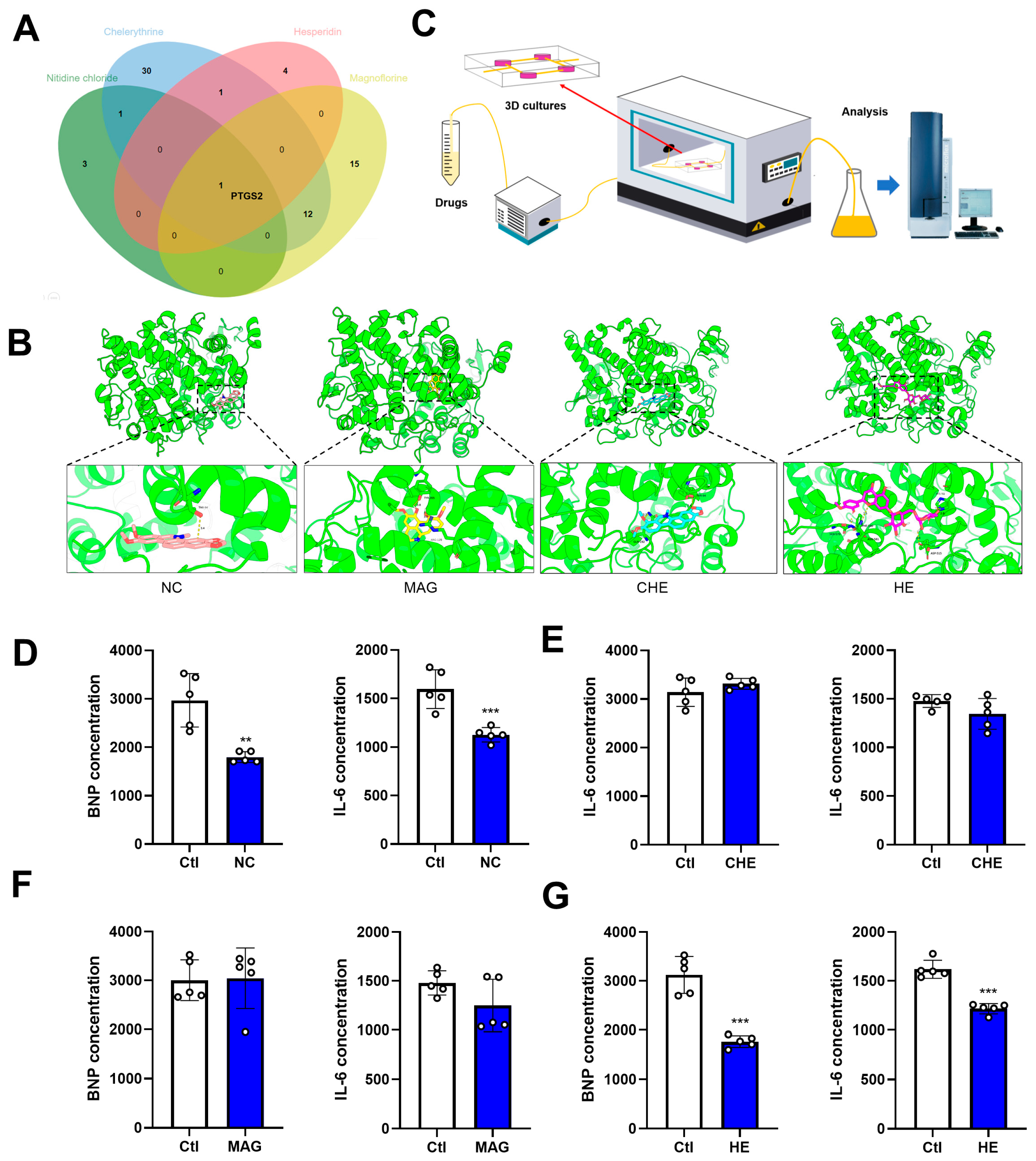 Pharmaceuticals 17 00524 g008