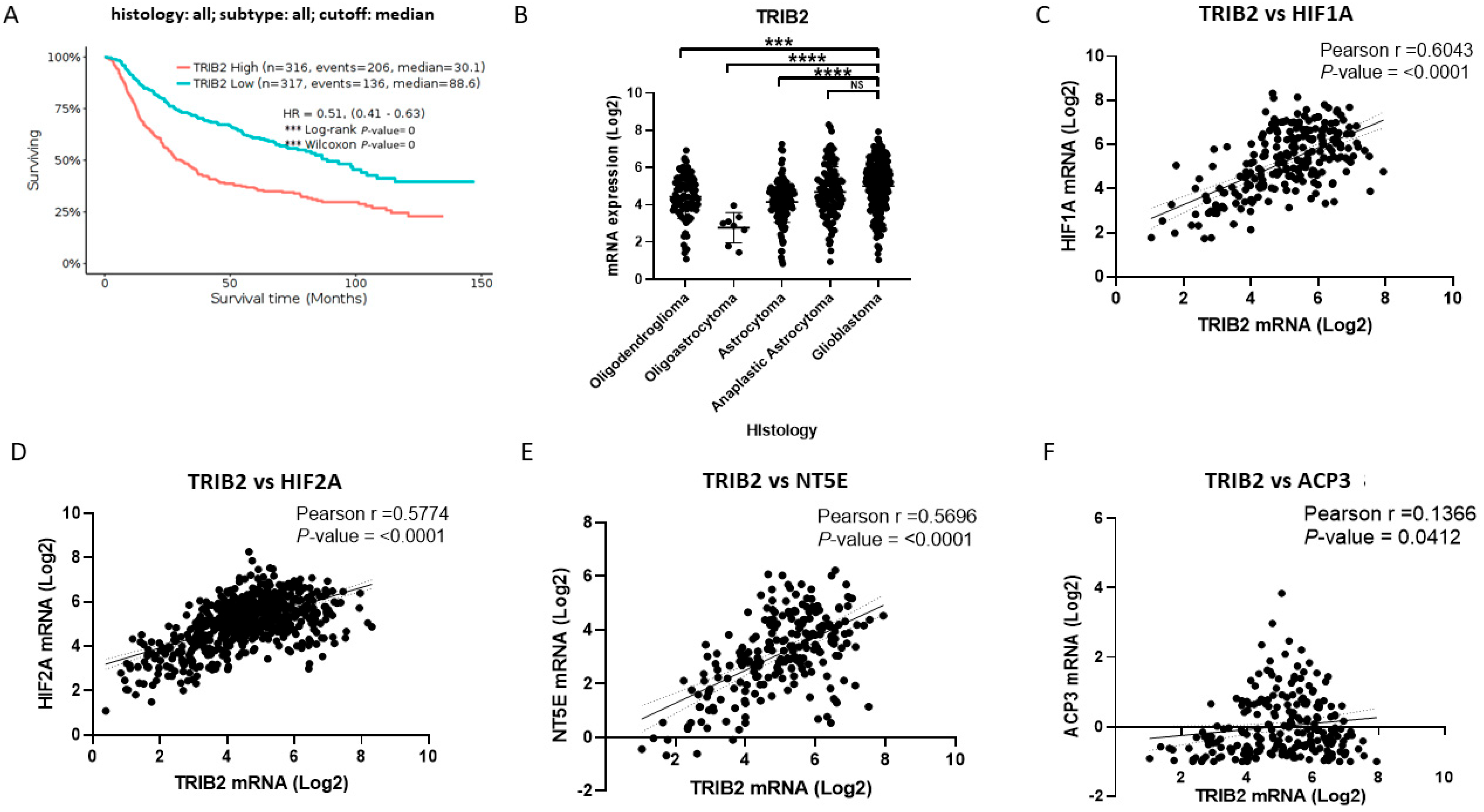 Pharmaceuticals 17 00579 g004
