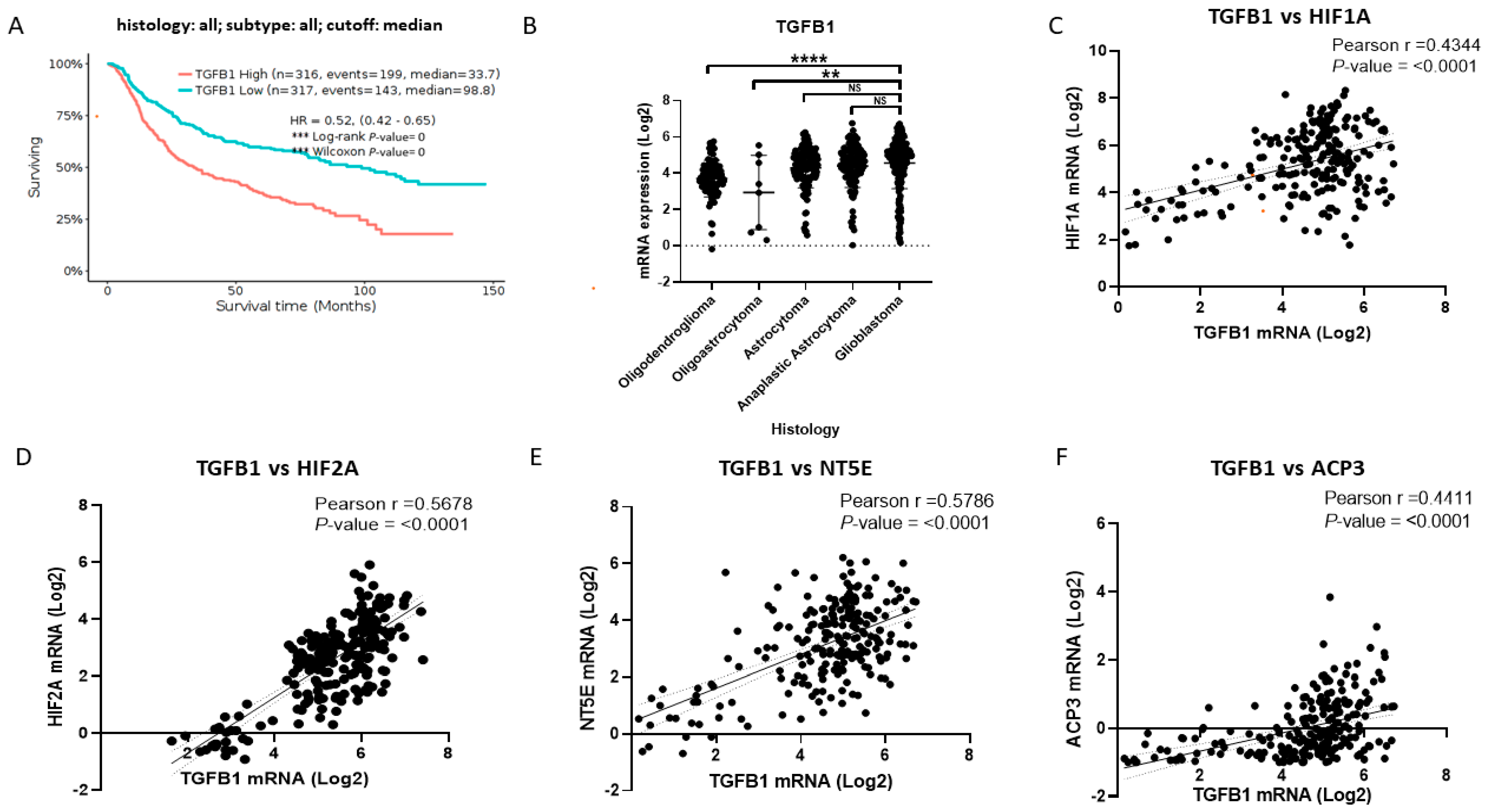Pharmaceuticals 17 00579 g005