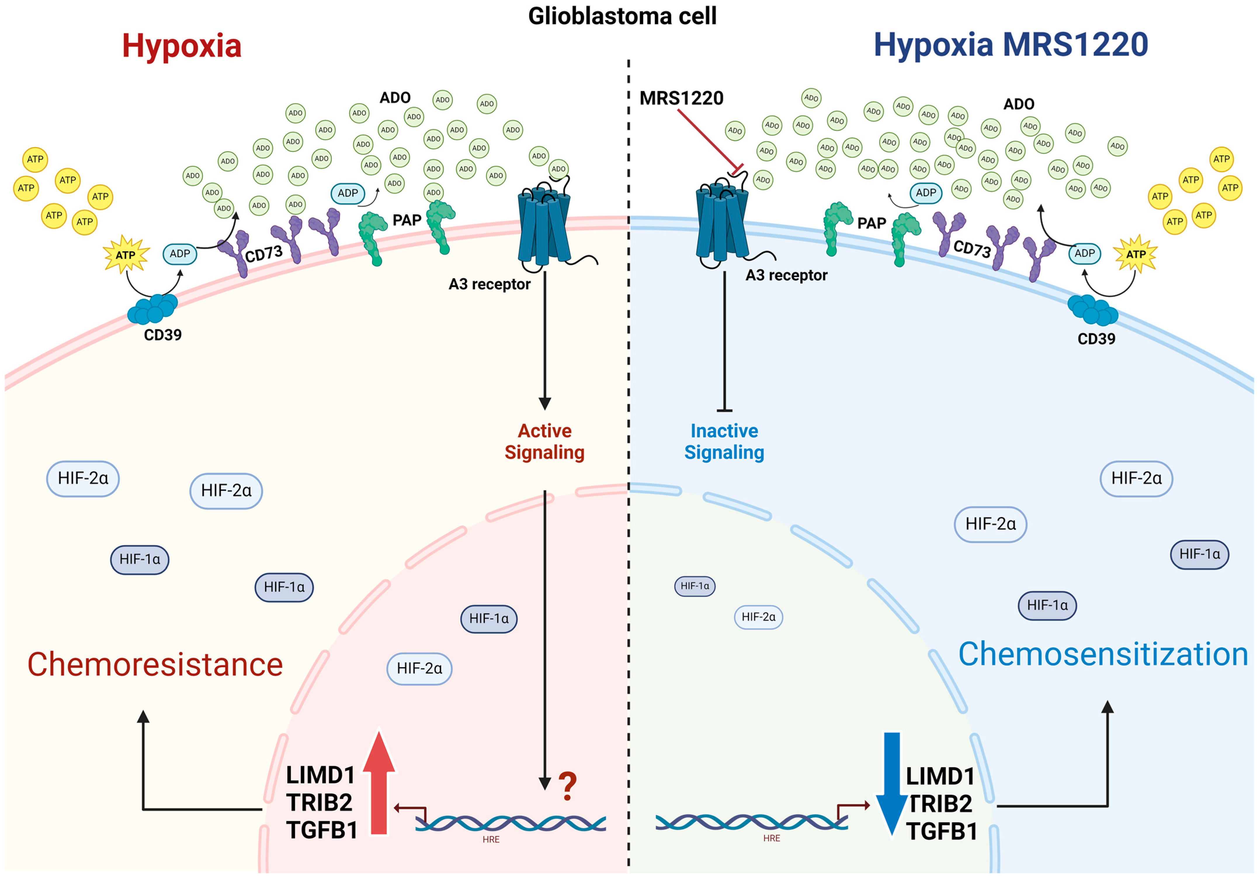 Pharmaceuticals 17 00579 g006