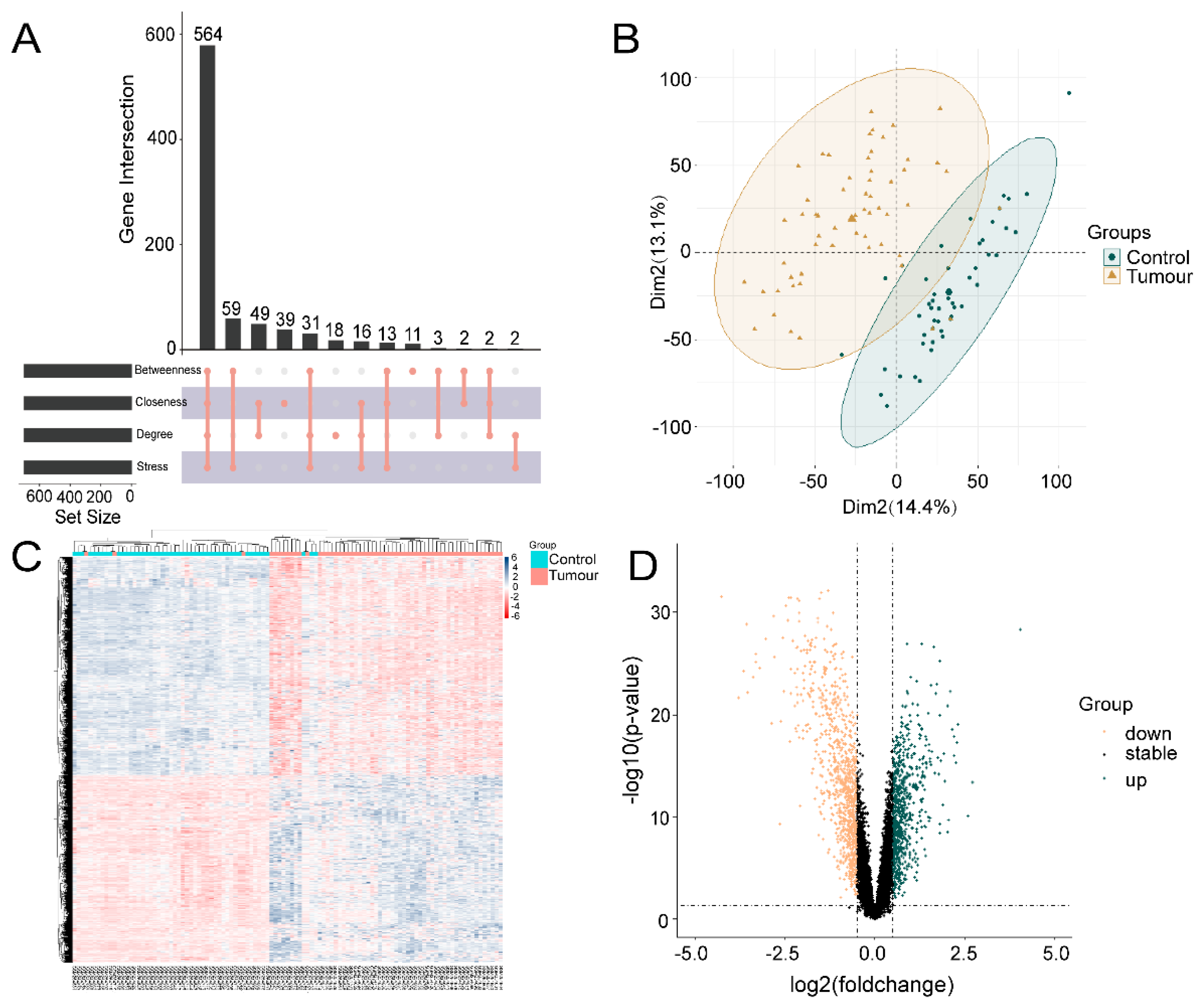 Pharmaceuticals 17 00582 g002