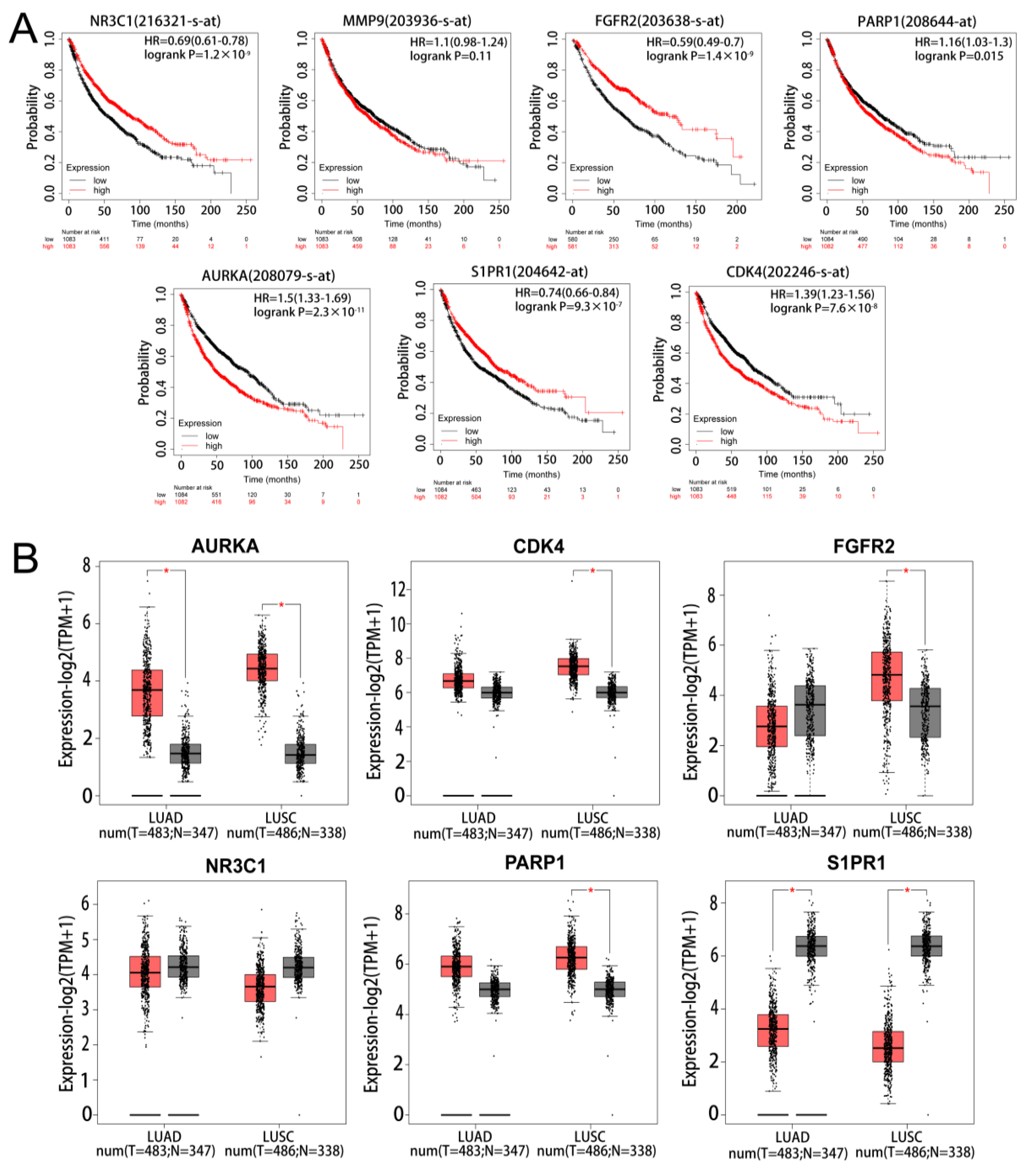 Pharmaceuticals 17 00582 g004