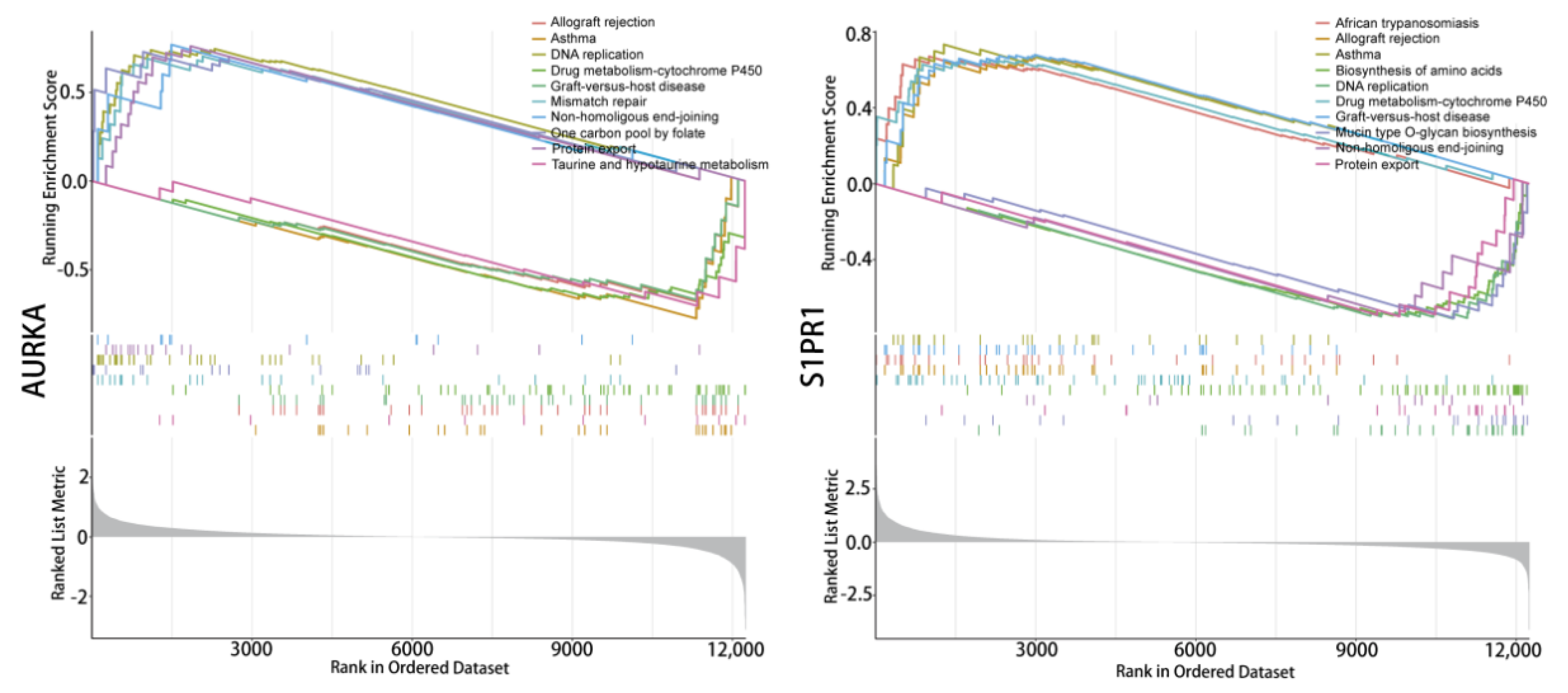 Pharmaceuticals 17 00582 g005