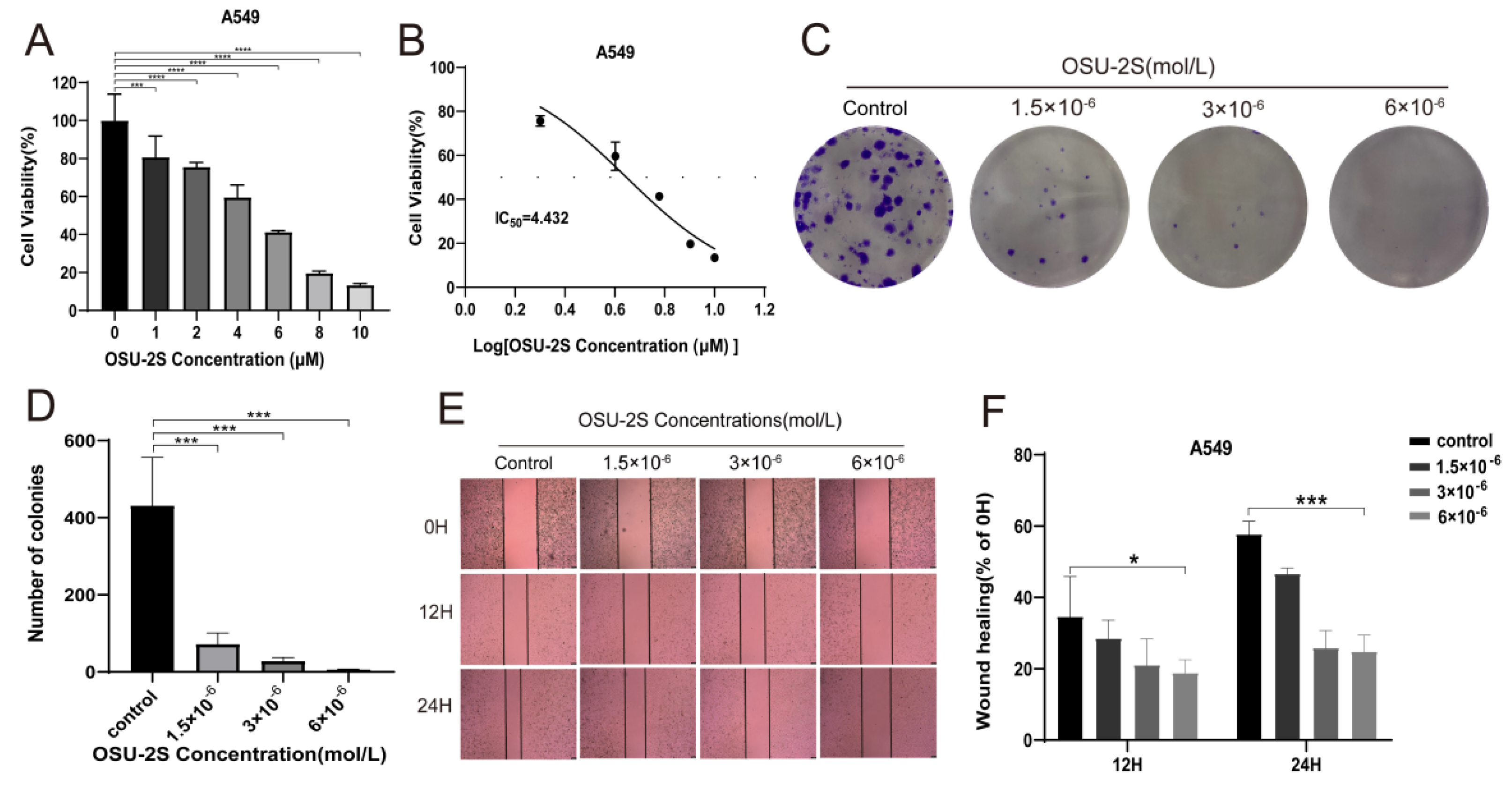 Pharmaceuticals 17 00582 g006