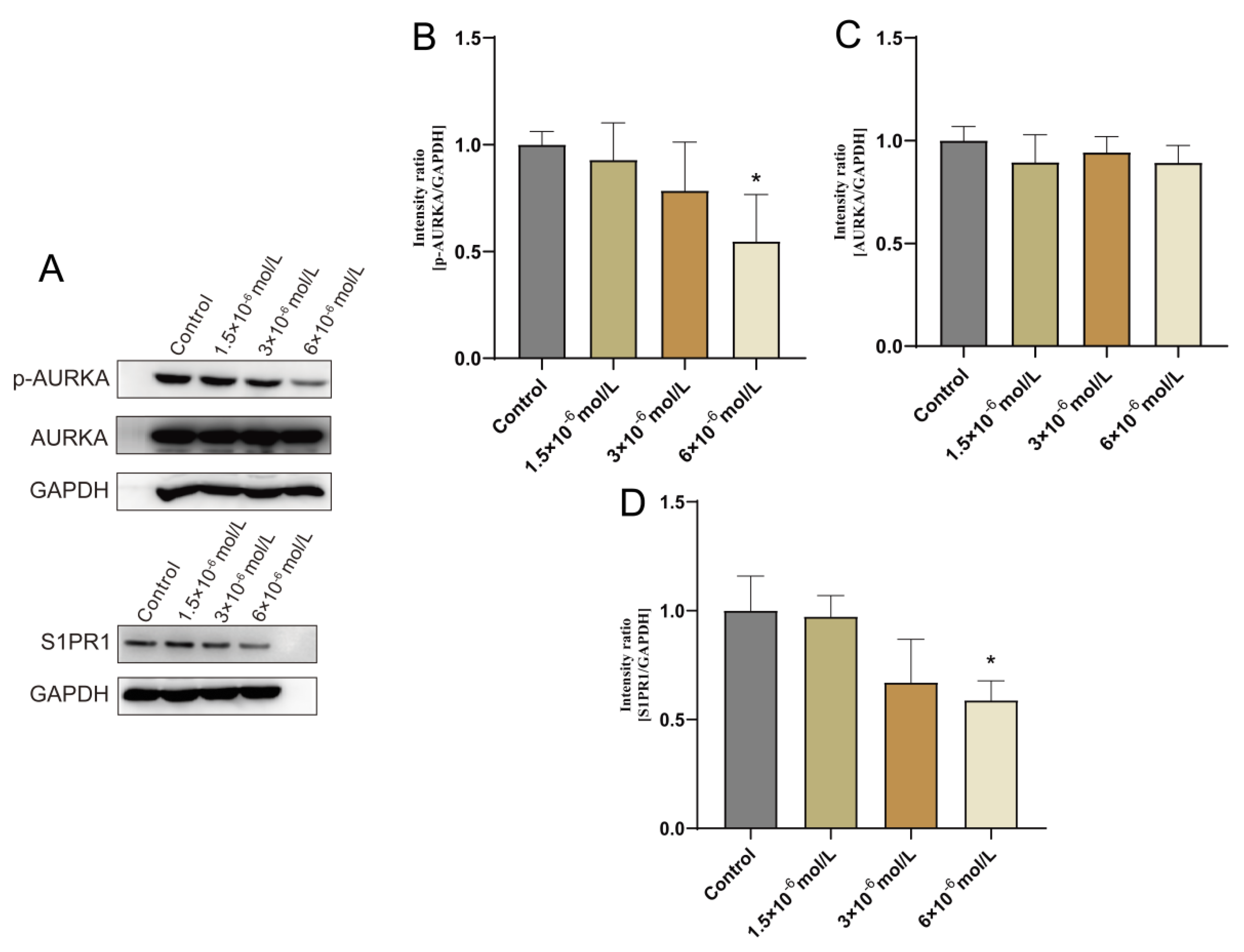 Pharmaceuticals 17 00582 g007
