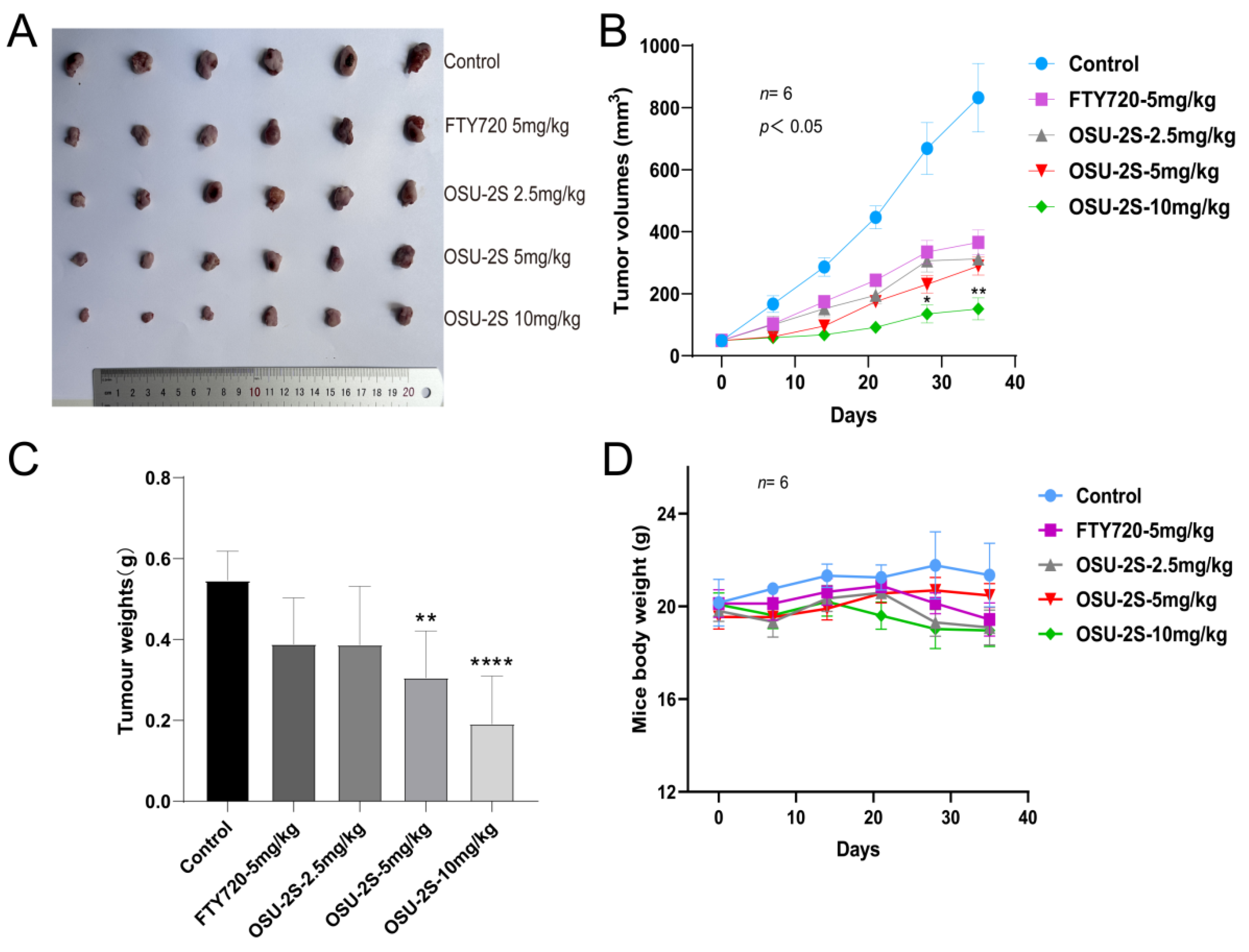Pharmaceuticals 17 00582 g008