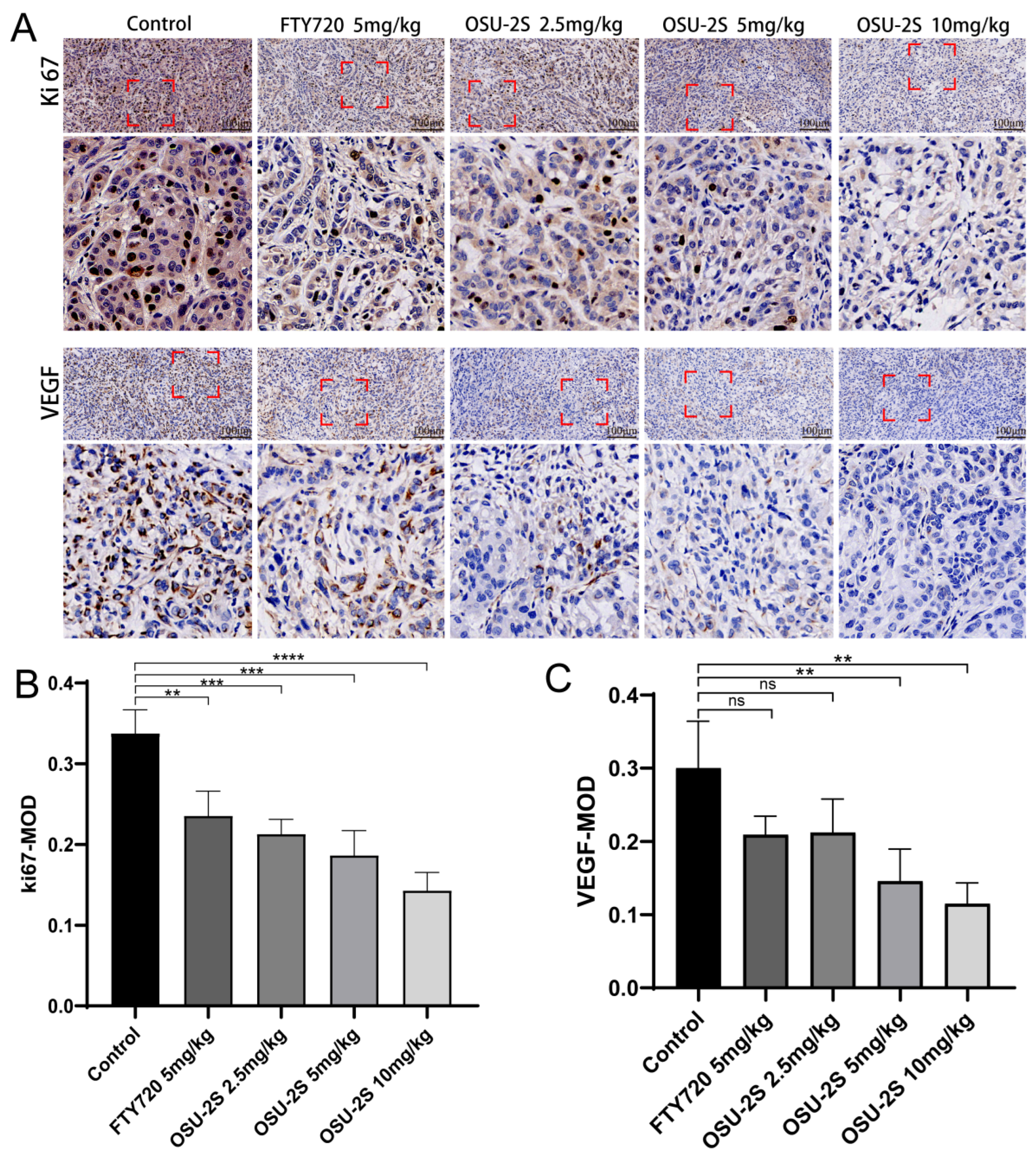 Pharmaceuticals 17 00582 g009
