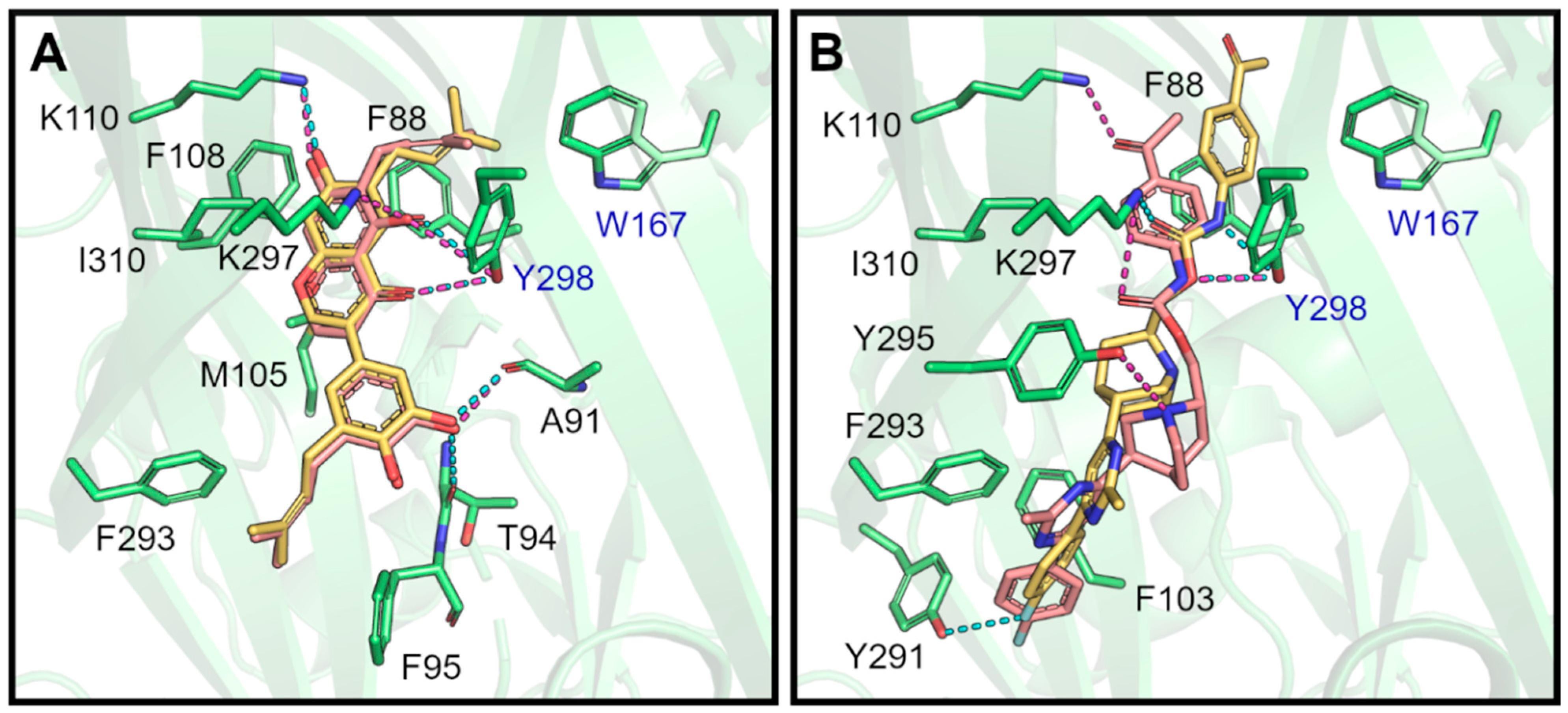 Pharmaceuticals 17 00592 g005